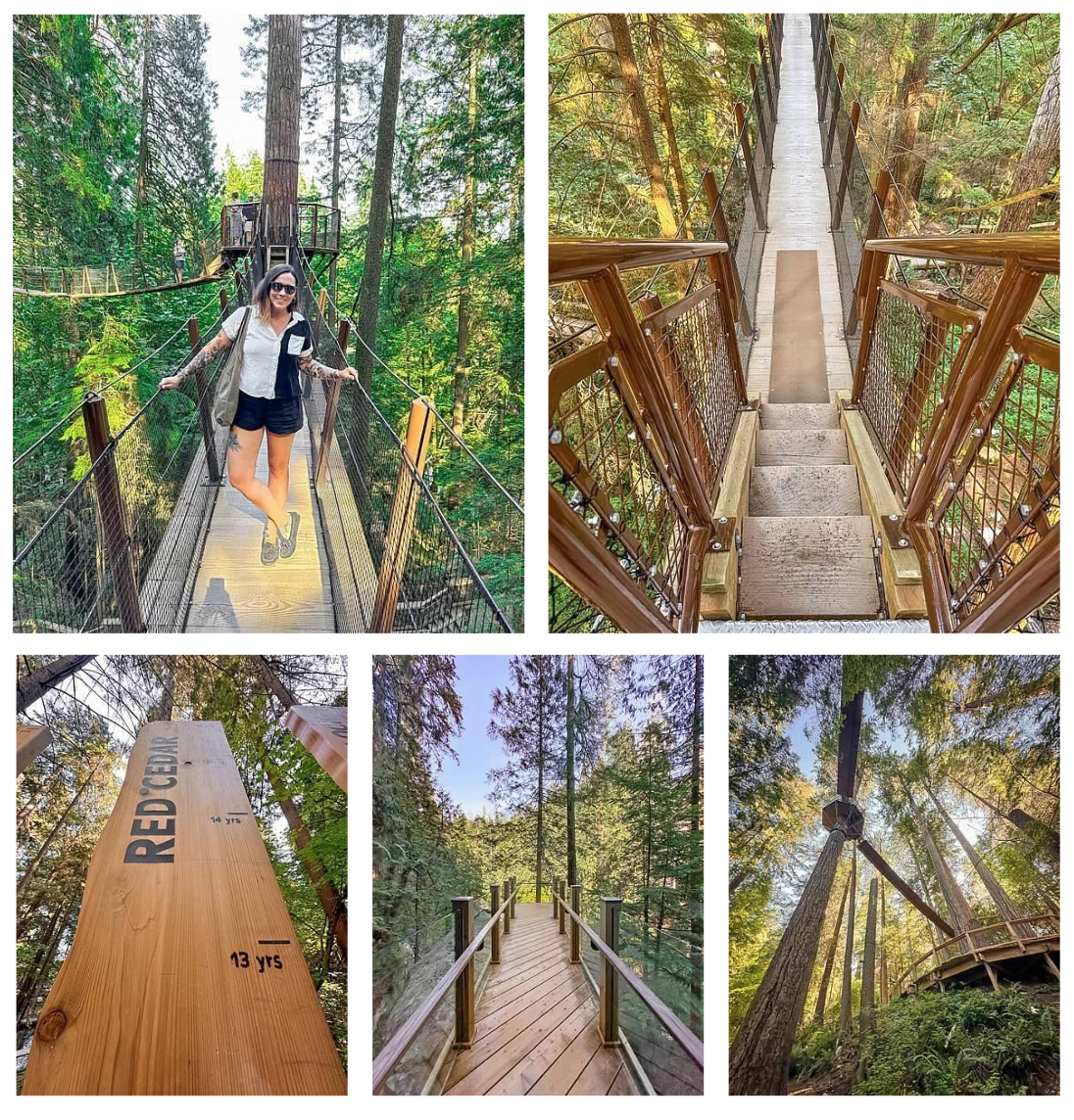 Screen Shot 2026-02-10 at 10.57.19 AM.png