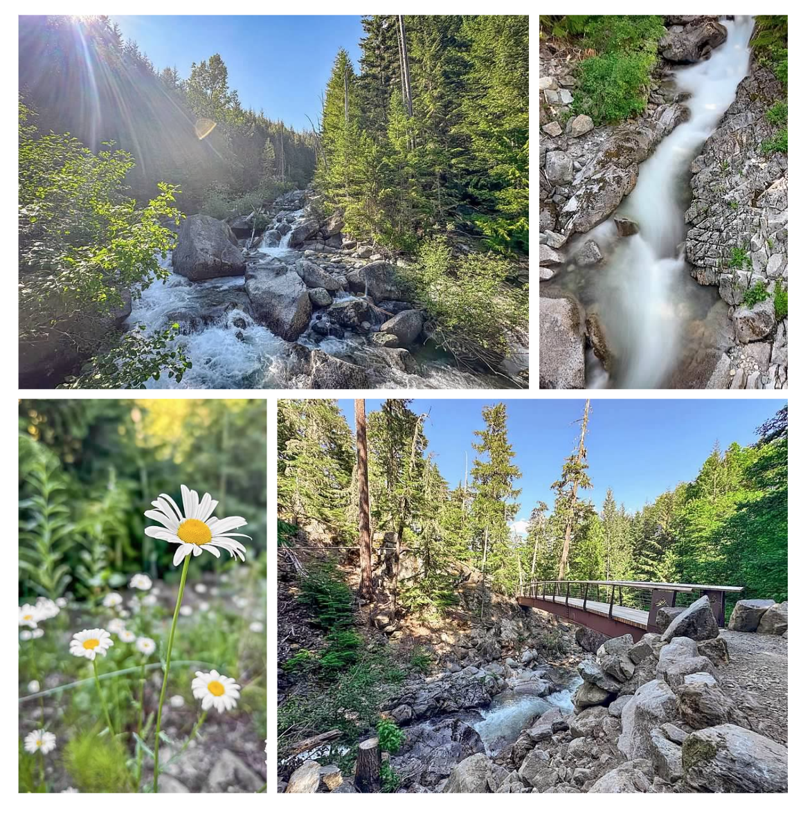 Screen Shot 2026-02-10 at 10.59.58 AM.png