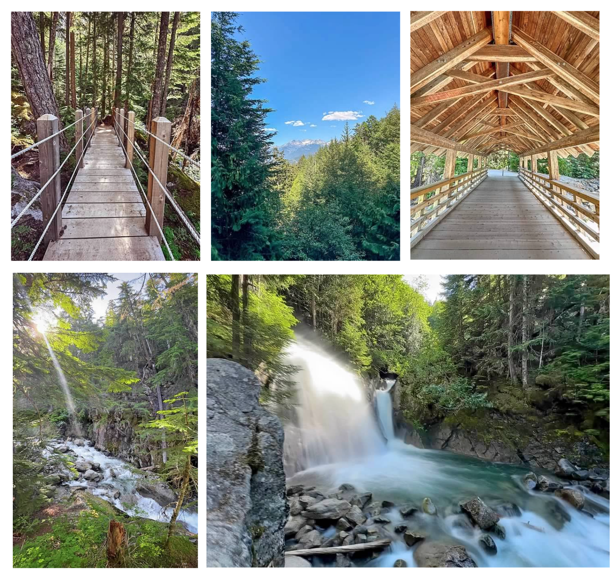 Screen Shot 2026-02-10 at 11.00.01 AM.png