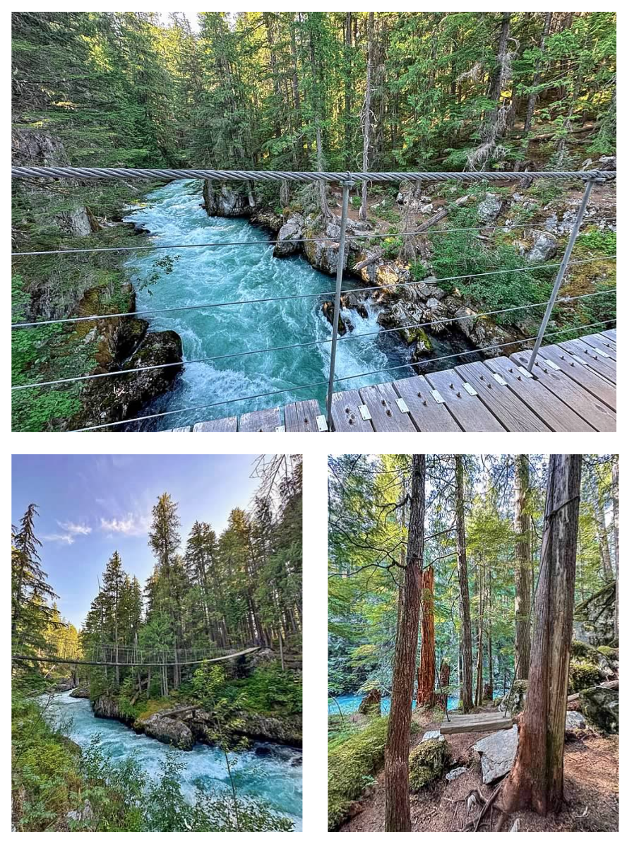 Screen Shot 2026-02-10 at 11.00.15 AM.png