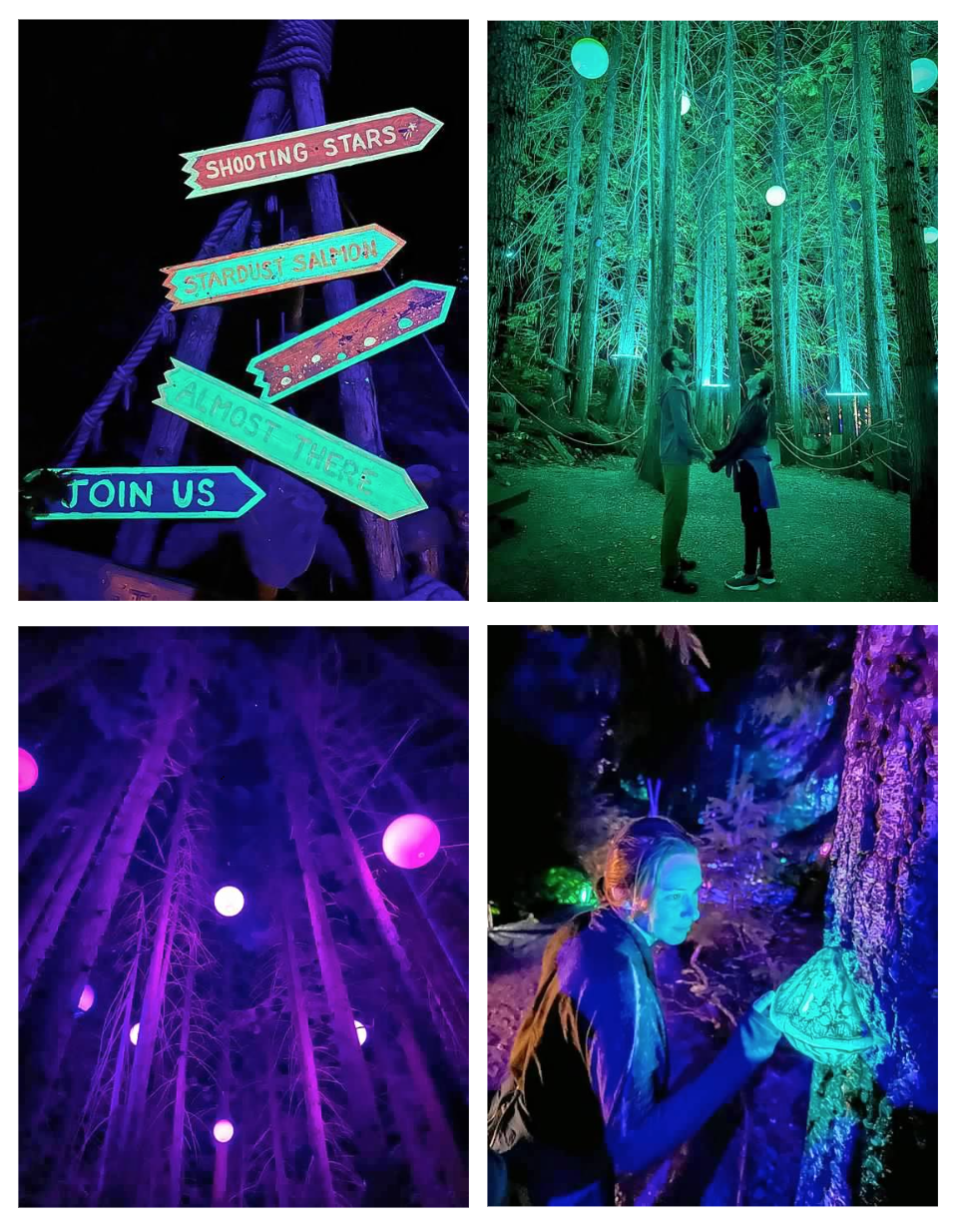 Screen Shot 2026-02-10 at 11.00.58 AM.png