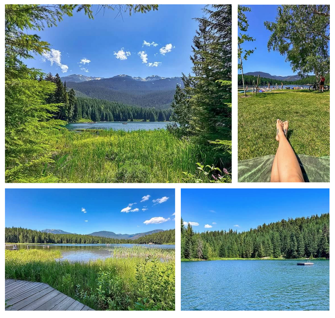 Screen Shot 2026-02-10 at 11.01.03 AM.png