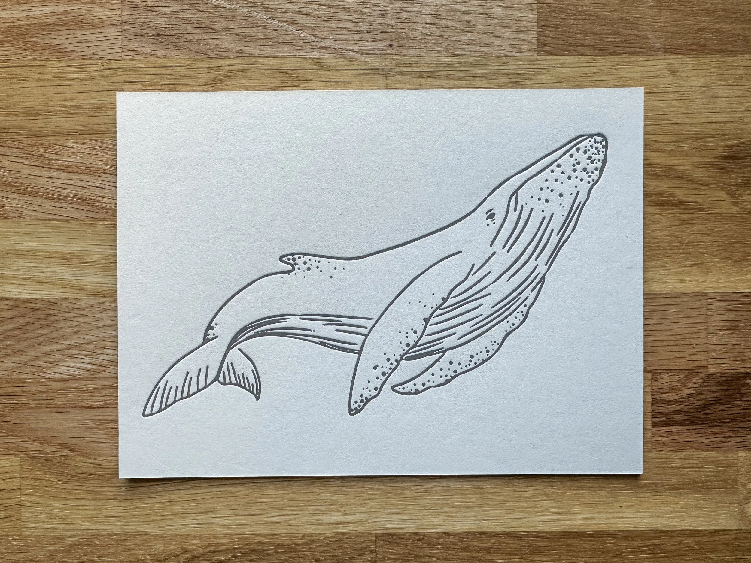 Photo Oct 25 2023, 16 28 46.jpg