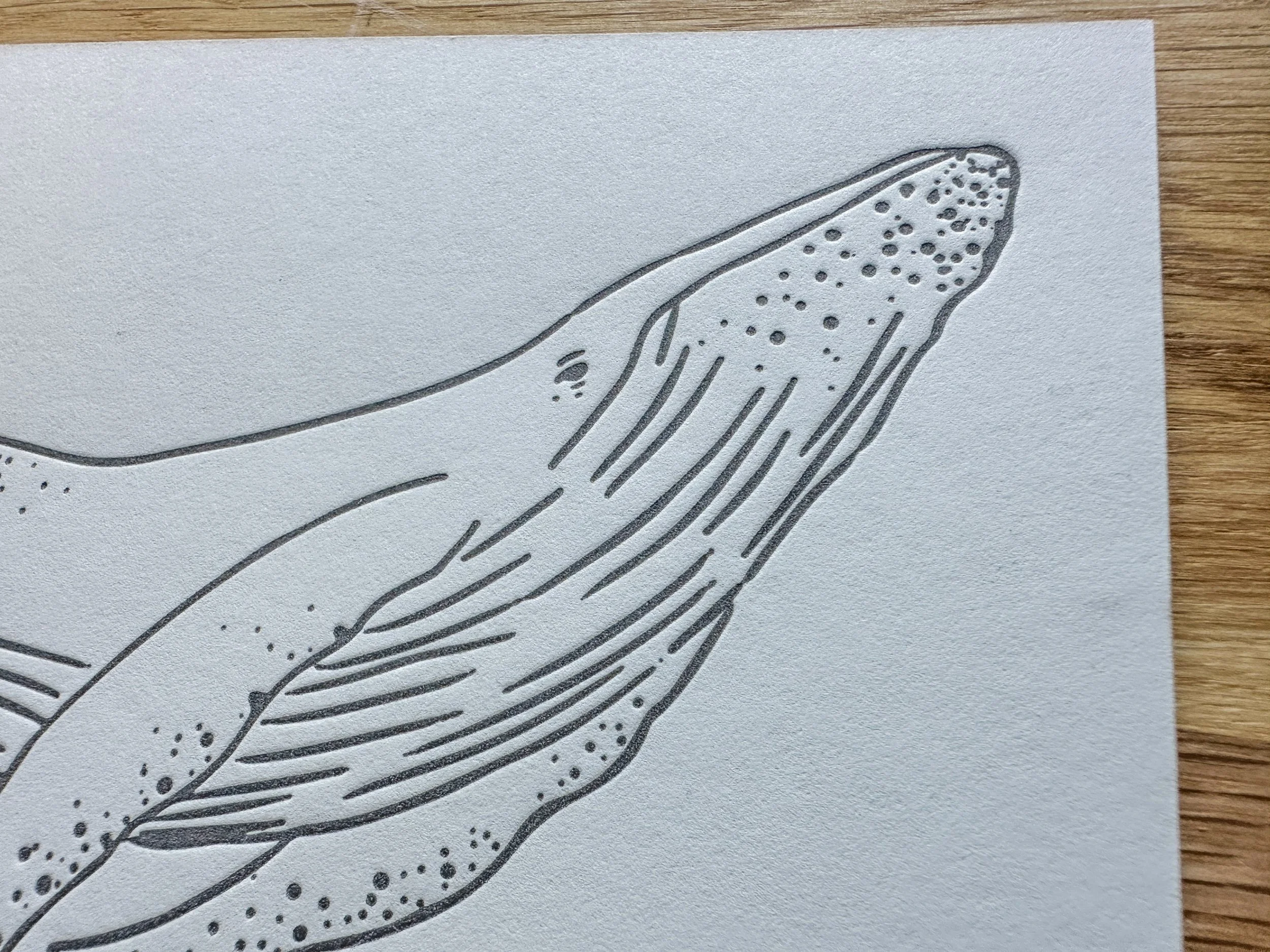 Photo Oct 25 2023, 16 28 49.jpg