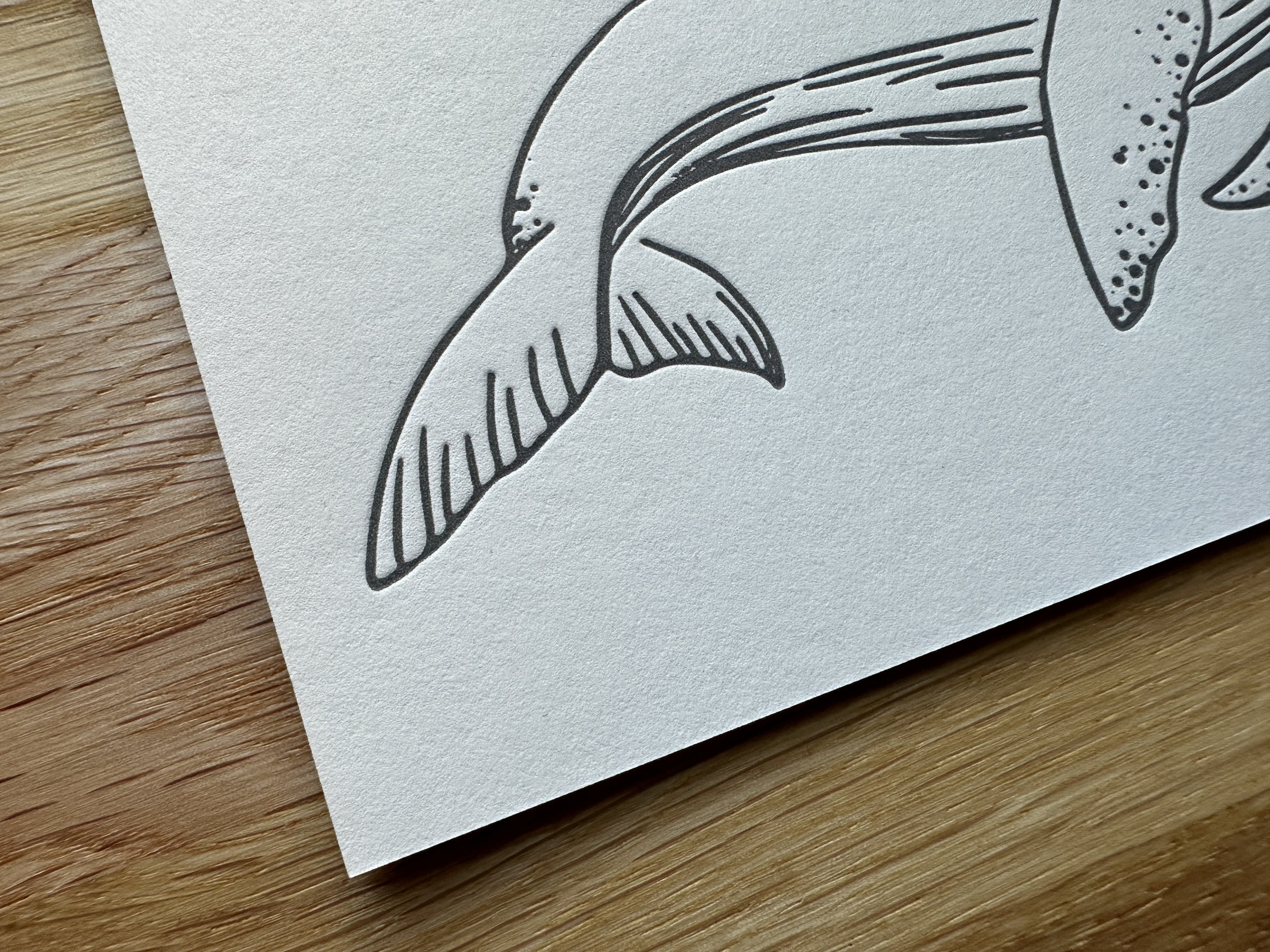 Photo Oct 25 2023, 16 28 53.jpg