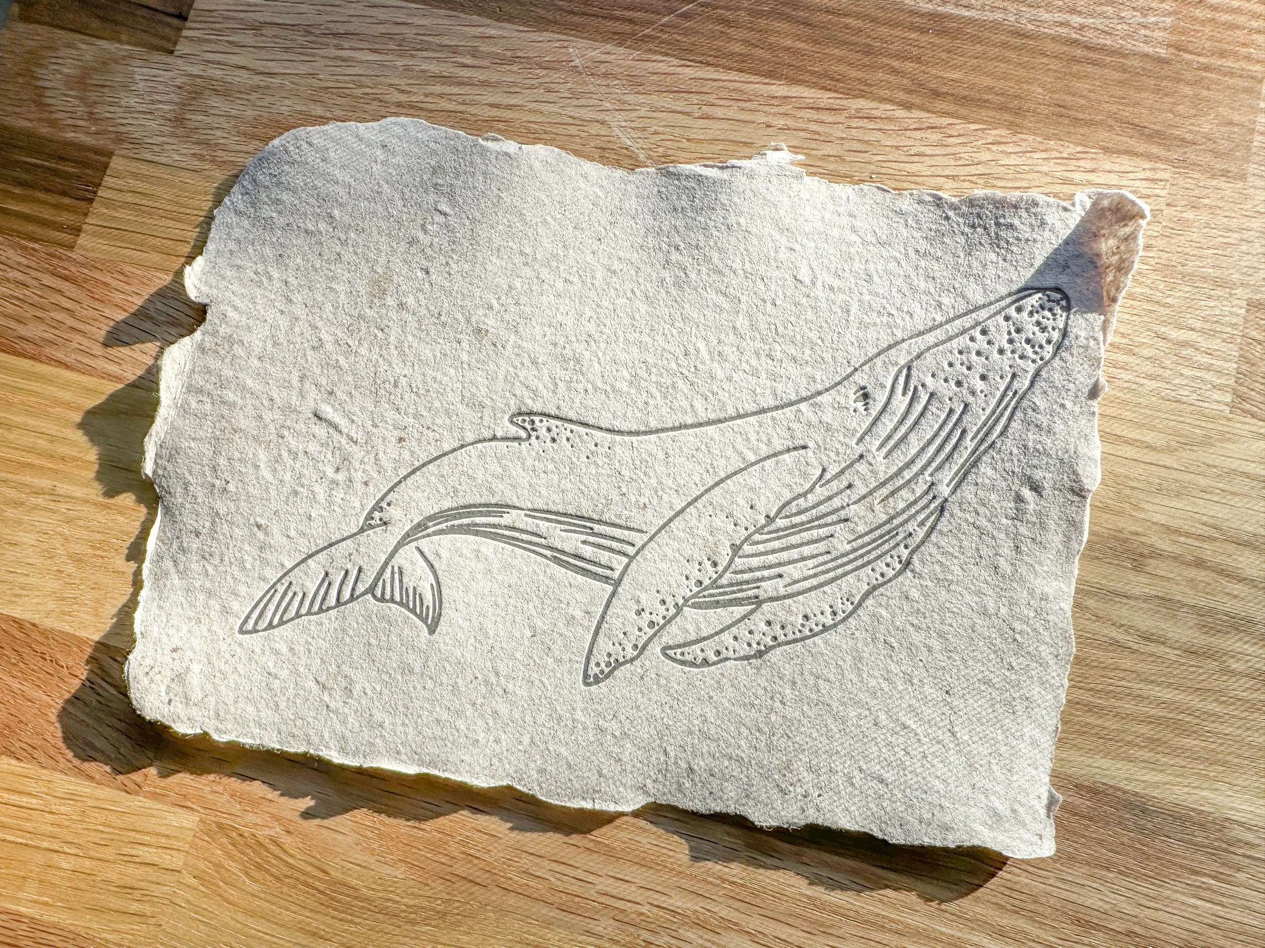 Letterpress: Whale Illustration