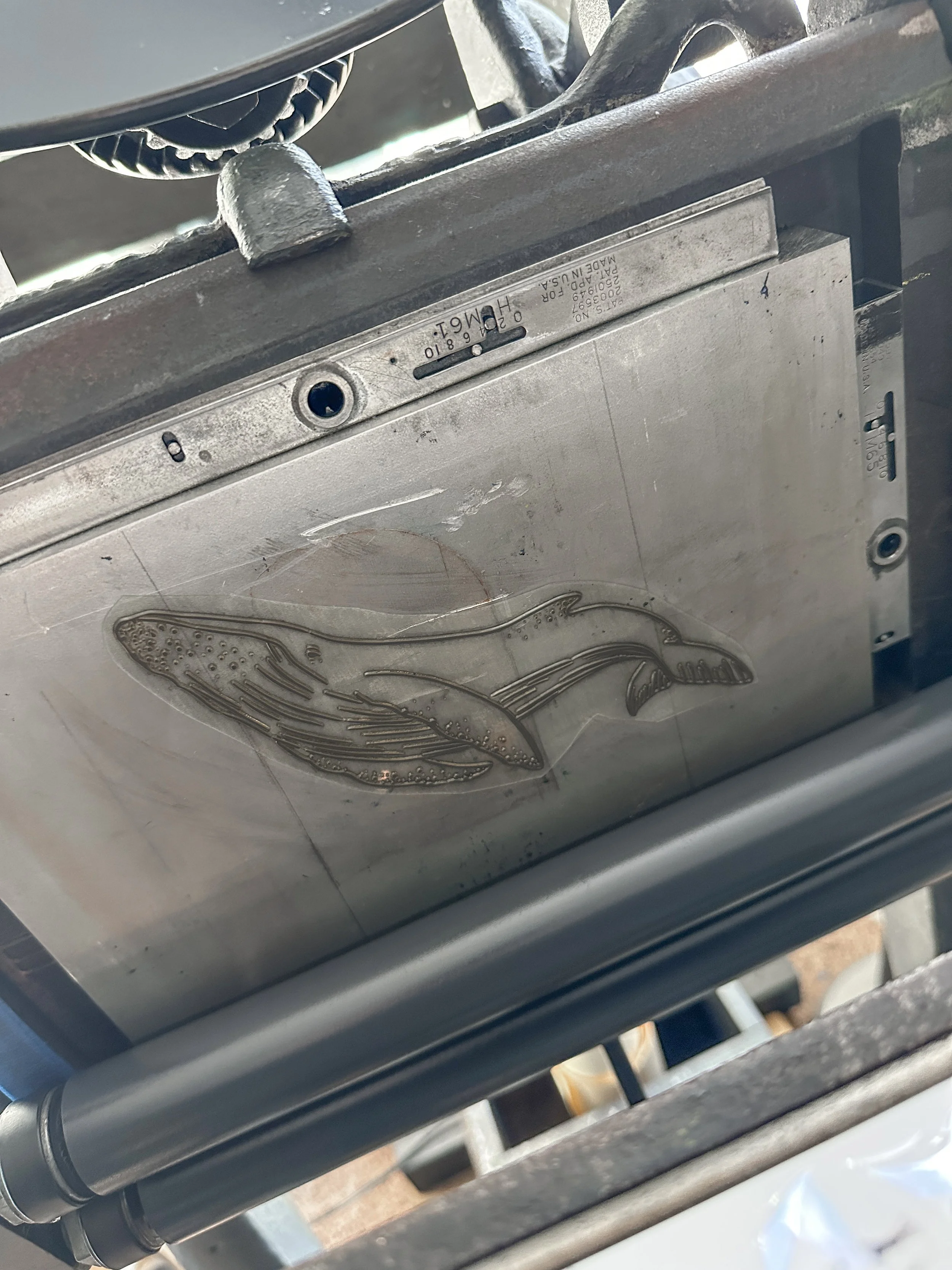 Photo Oct 21 2023, 15 54 24.jpg