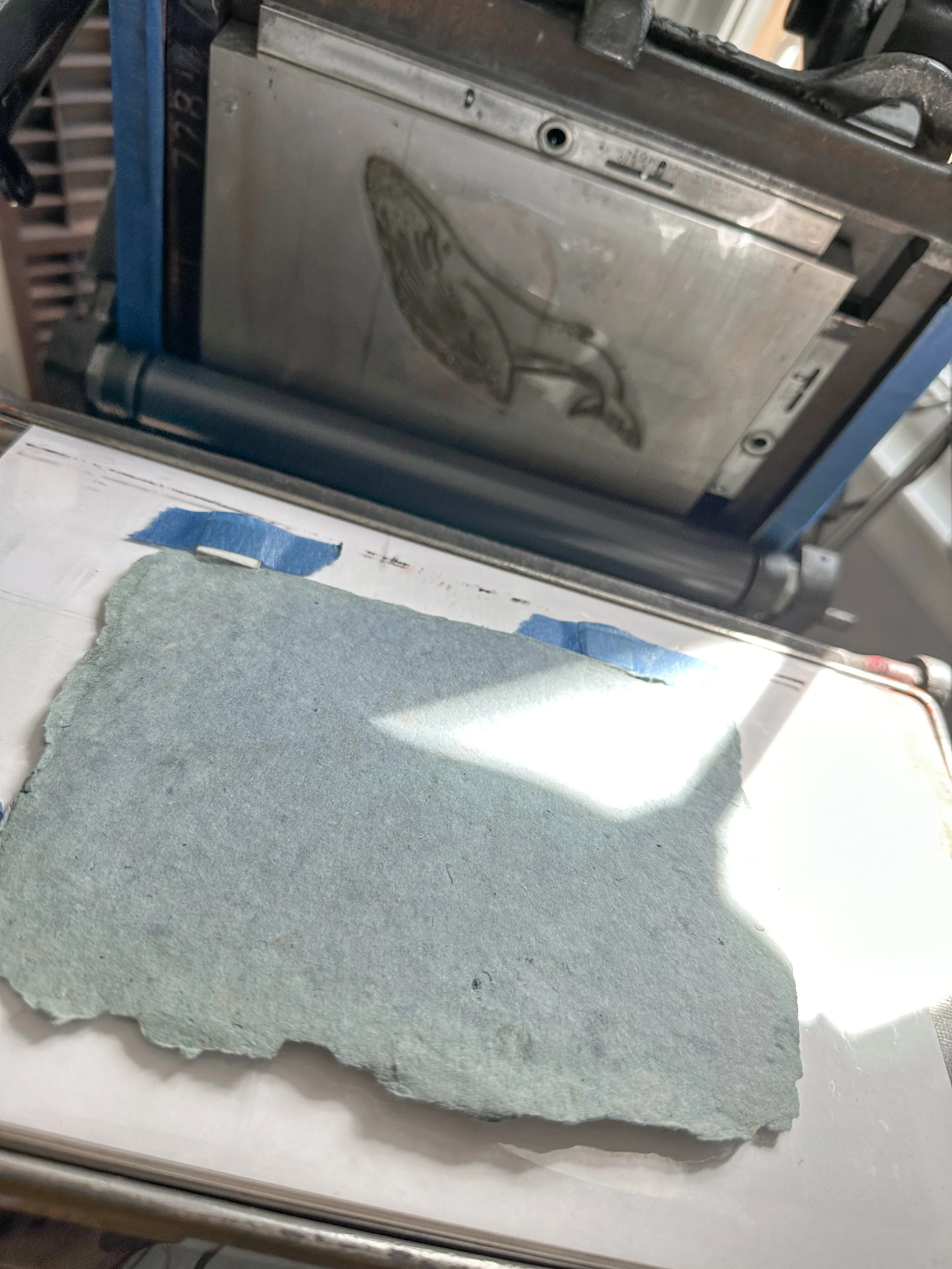 Photo Oct 21 2023, 12 32 43.jpg