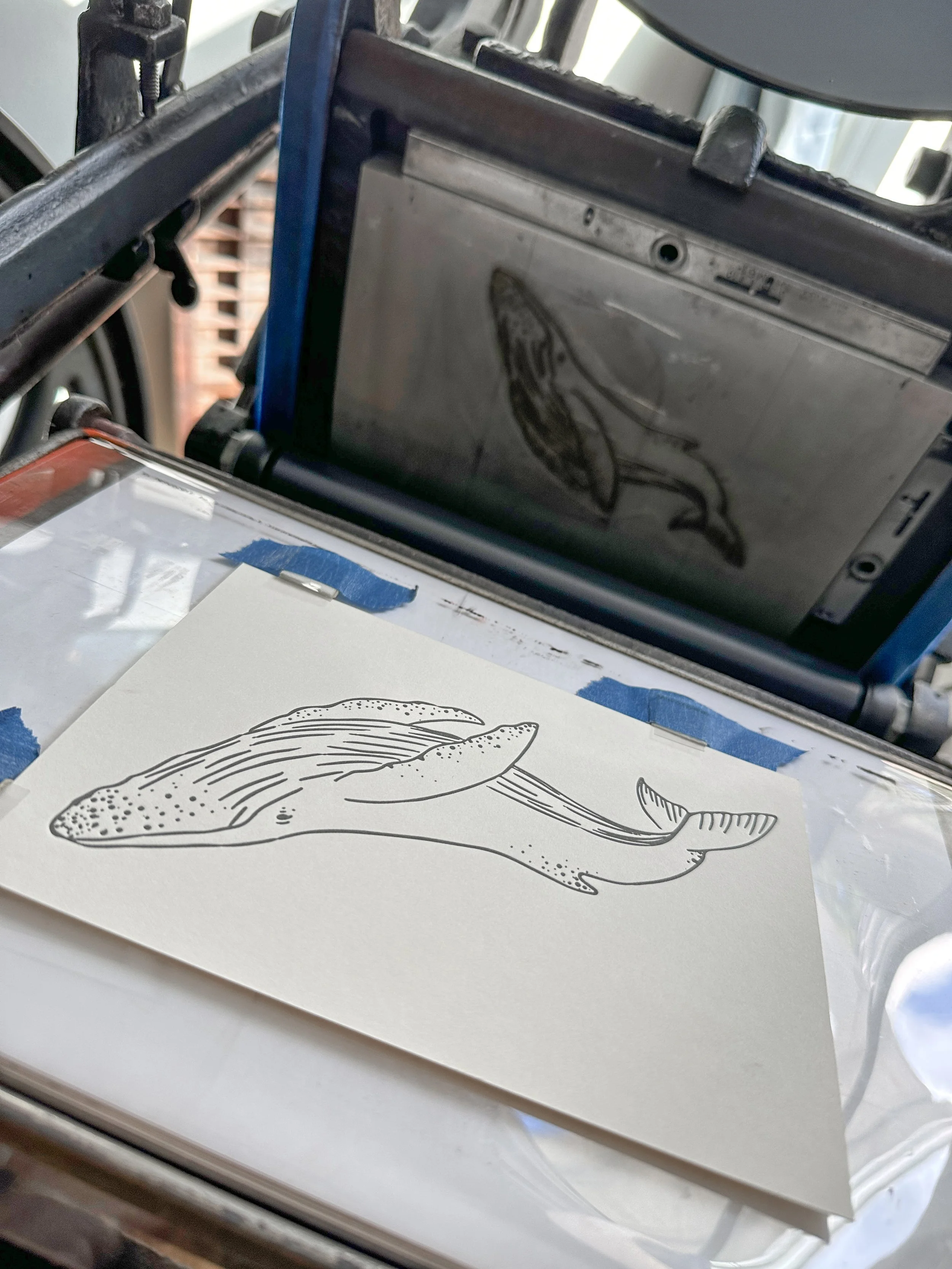 Photo Oct 21 2023, 15 54 31.jpg