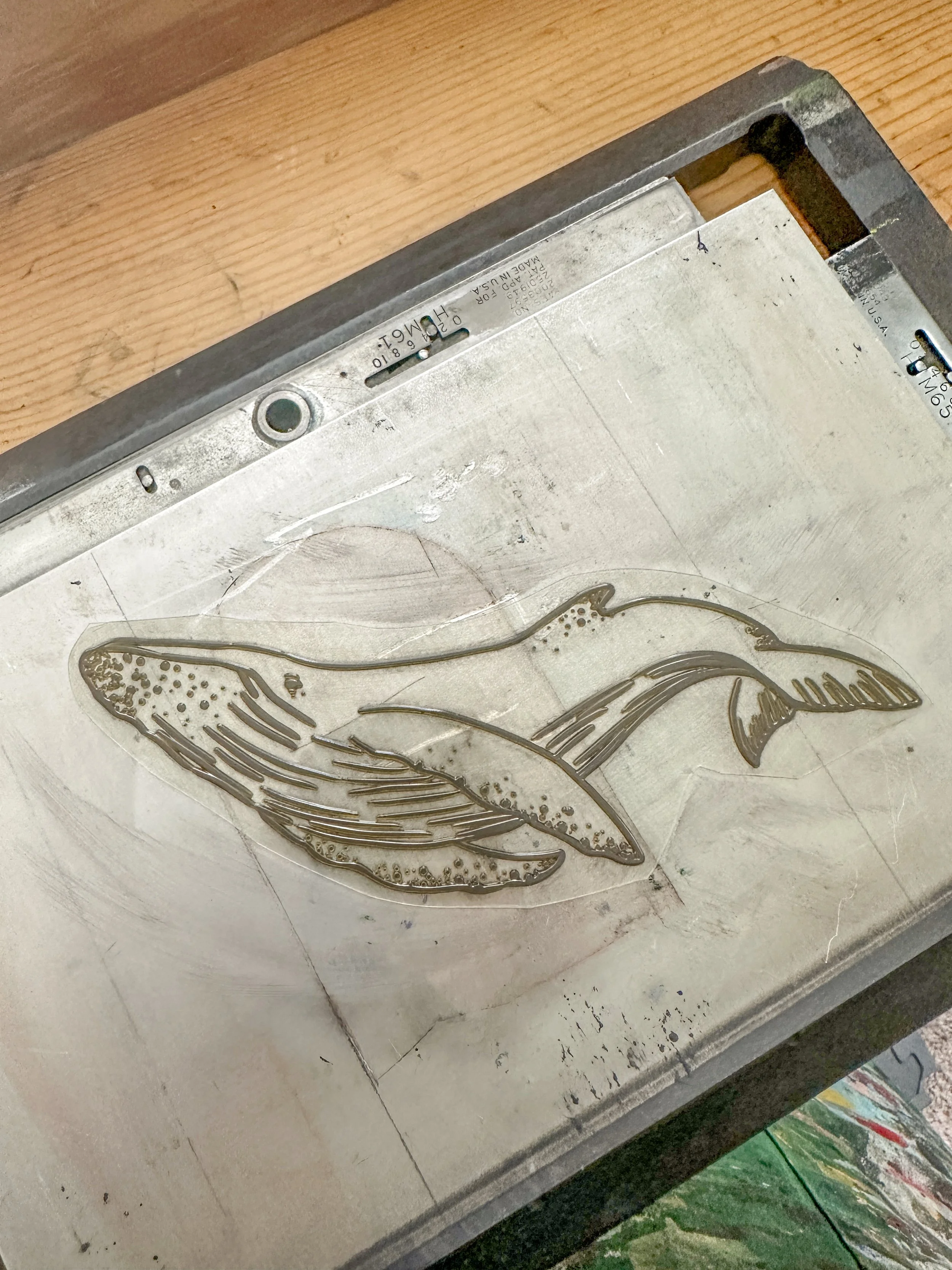 Photo Oct 21 2023, 15 54 54.jpg