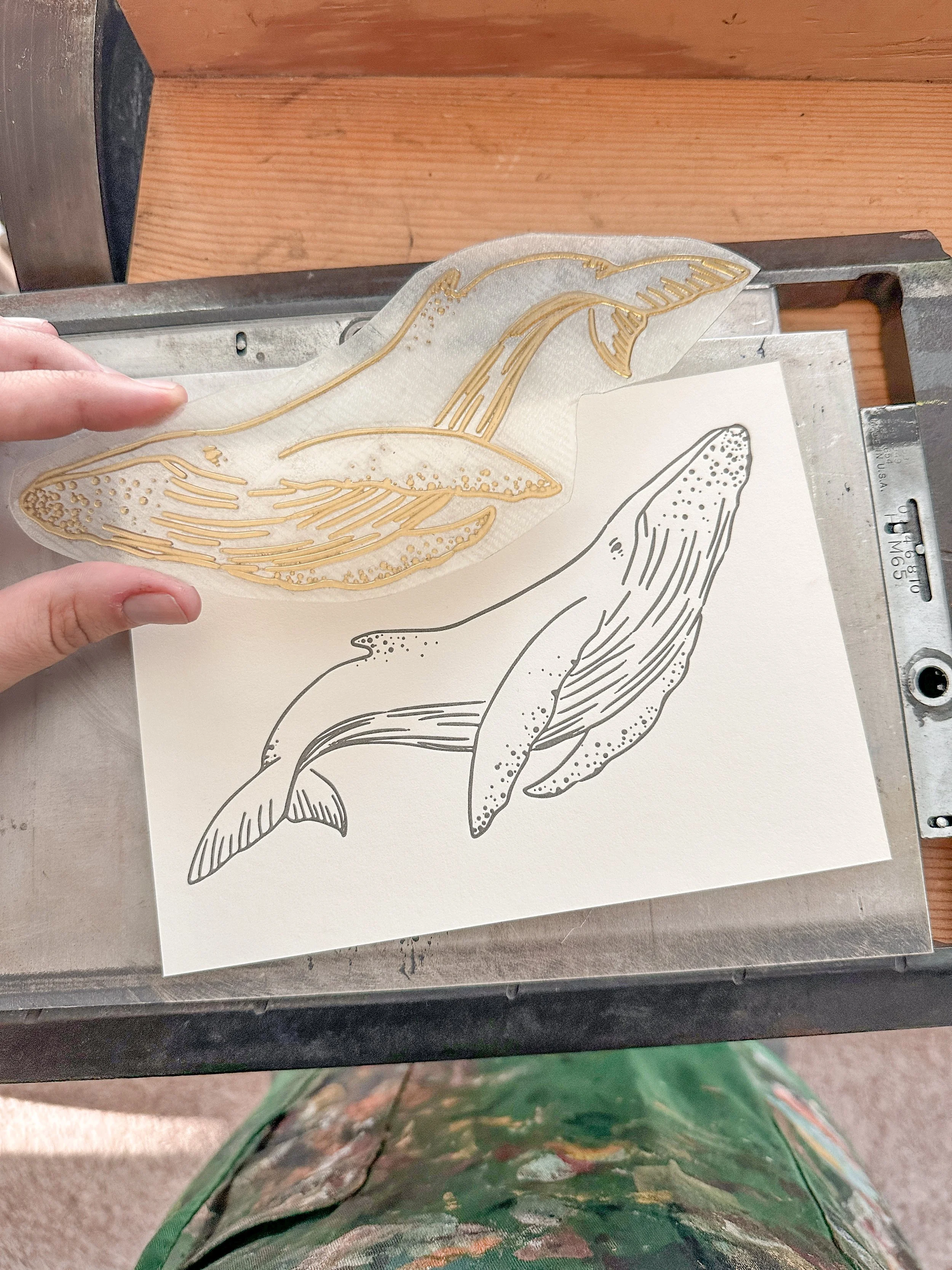 Photo Oct 21 2023, 15 55 24.jpg