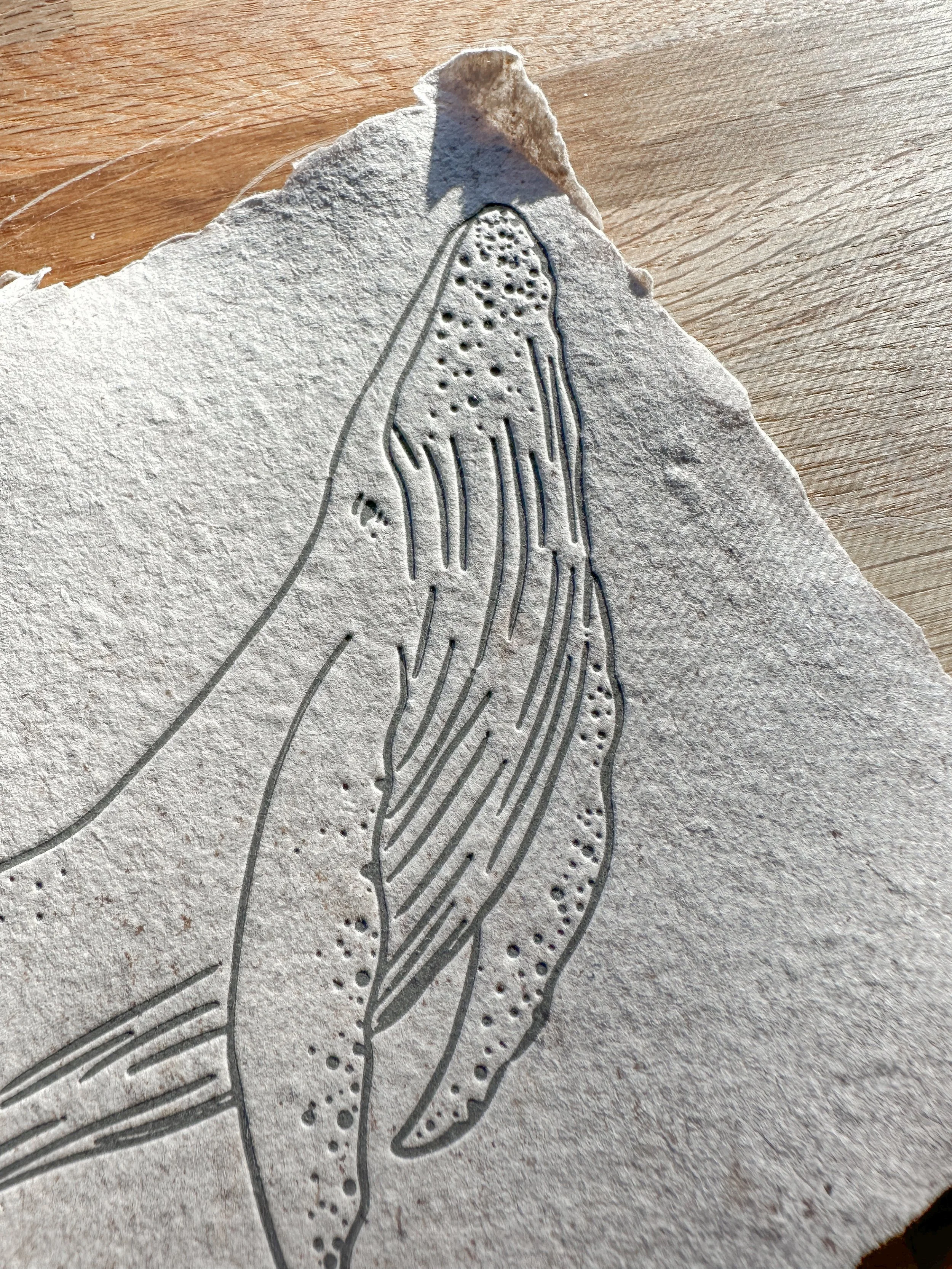 Photo Oct 25 2023, 16 30 40.jpg