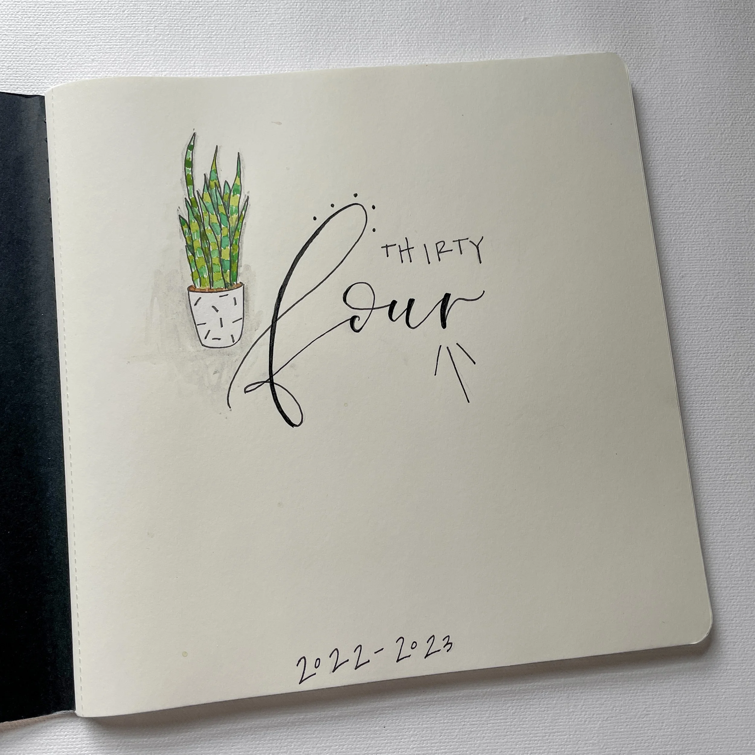 Journal: My 34th Year