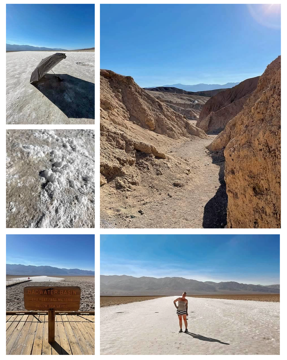 Screen Shot 2026-02-10 at 12.31.37 PM.png