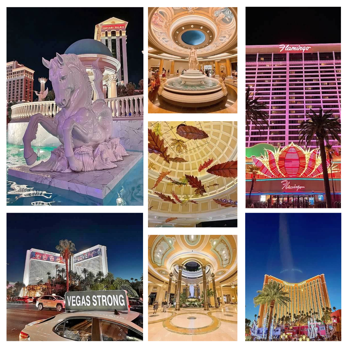 Screen Shot 2026-02-10 at 12.32.12 PM.png