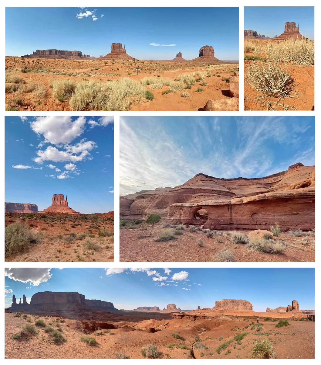 Screen Shot 2026-02-10 at 12.34.02 PM.png