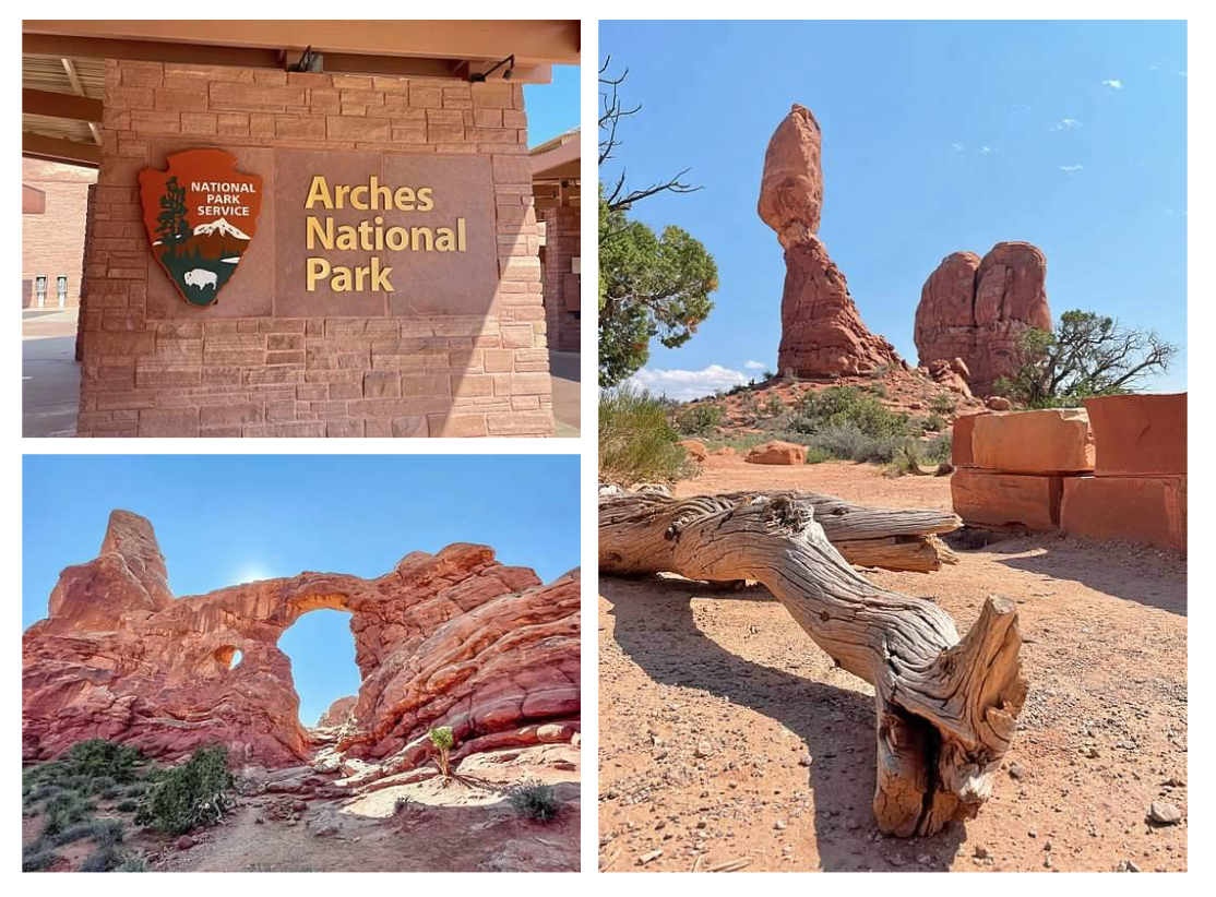 Screen Shot 2026-02-10 at 12.34.24 PM.png