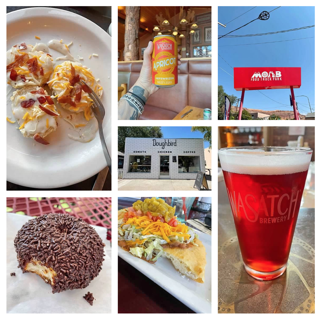 Screen Shot 2026-02-10 at 12.35.01 PM.png