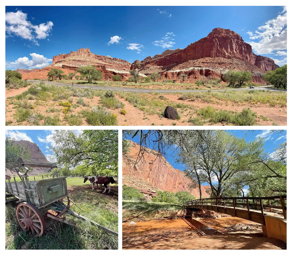 Screen Shot 2026-02-10 at 12.35.09 PM.png