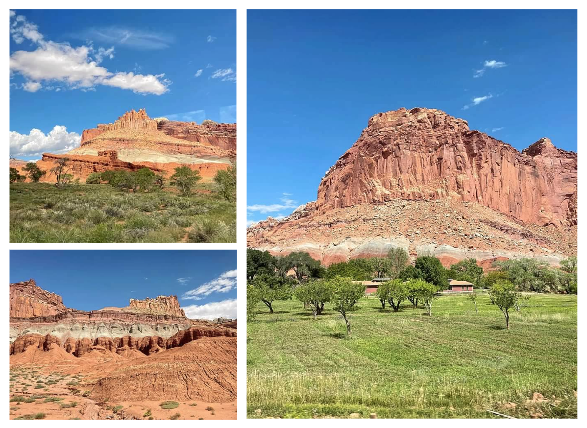 Screen Shot 2026-02-10 at 12.35.14 PM.png