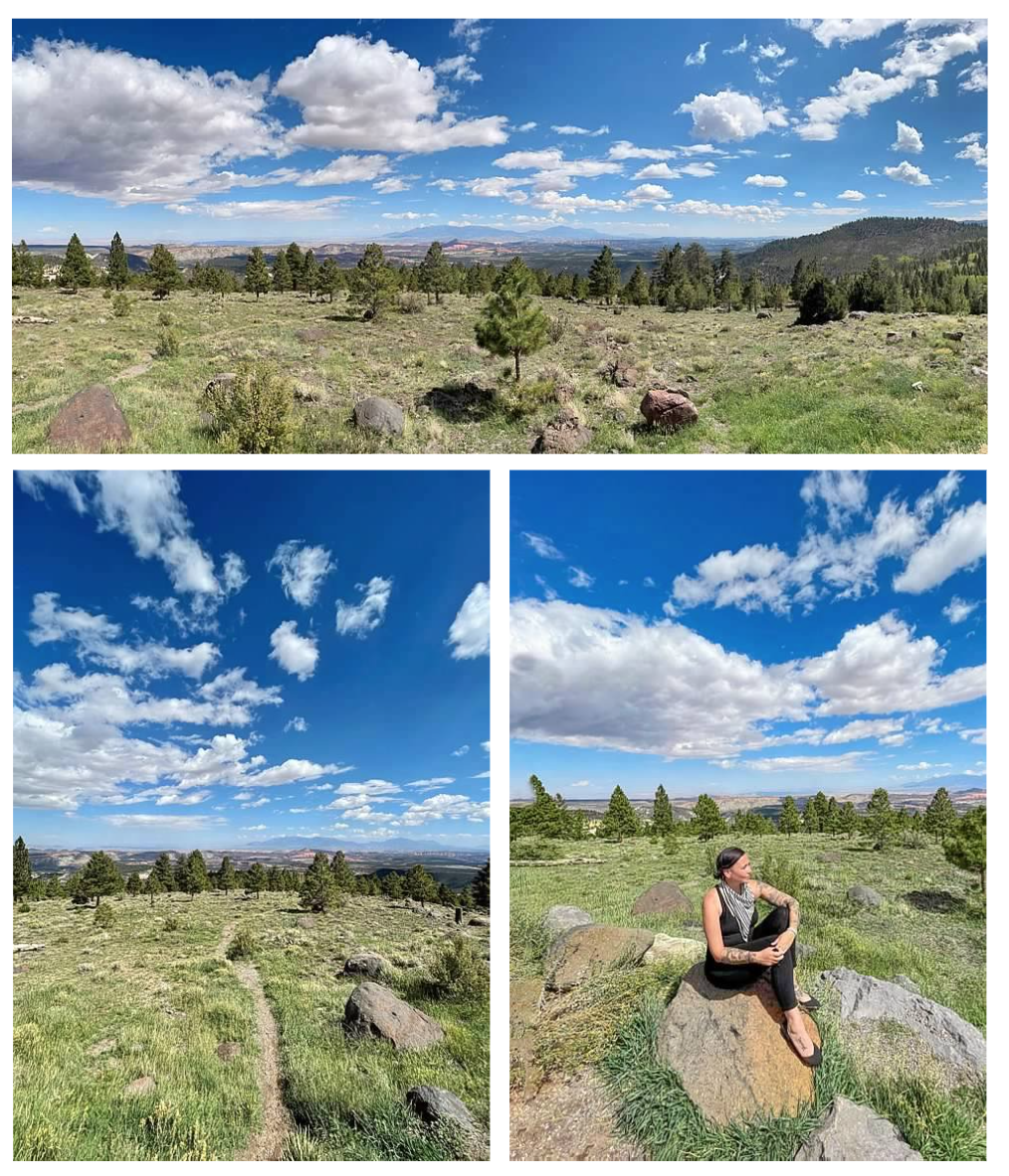 Screen Shot 2026-02-10 at 12.35.19 PM.png