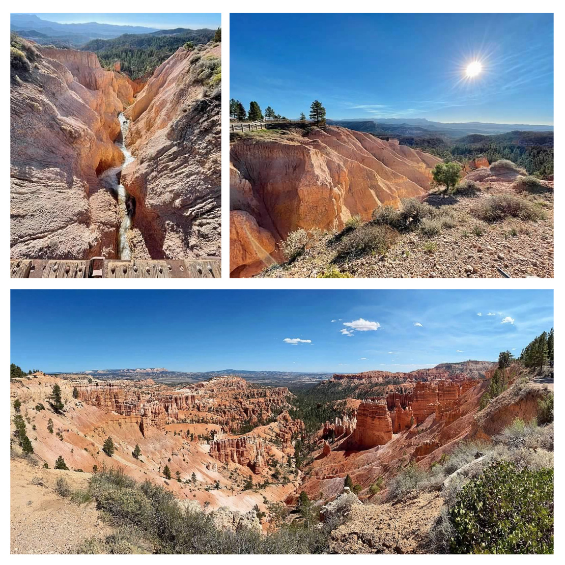 Screen Shot 2026-02-10 at 12.35.33 PM.png