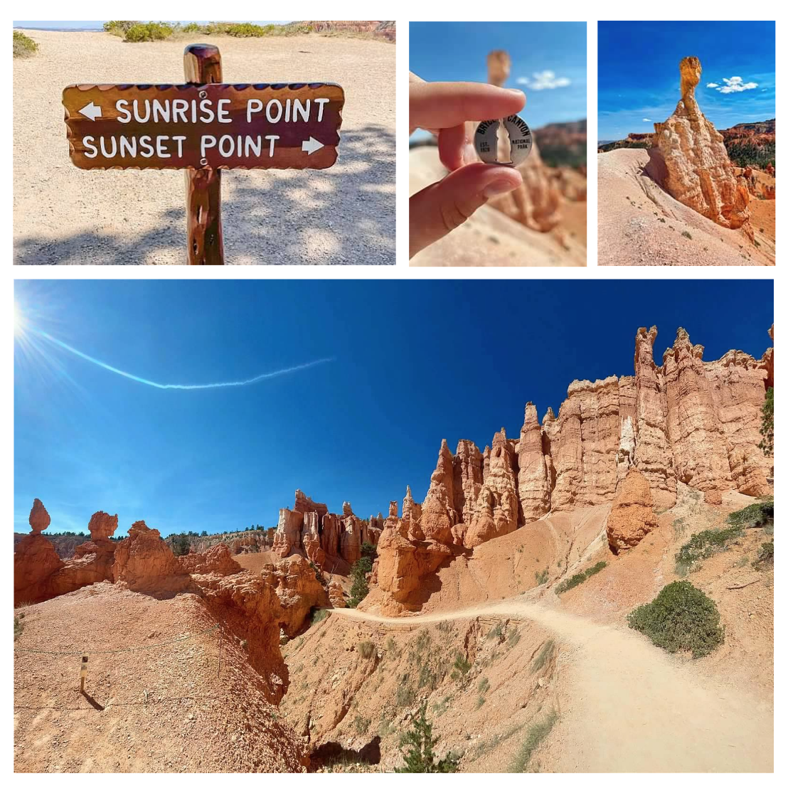 Screen Shot 2026-02-10 at 12.35.45 PM.png