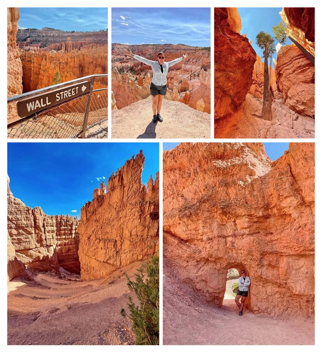 Screen Shot 2026-02-10 at 12.35.51 PM.png