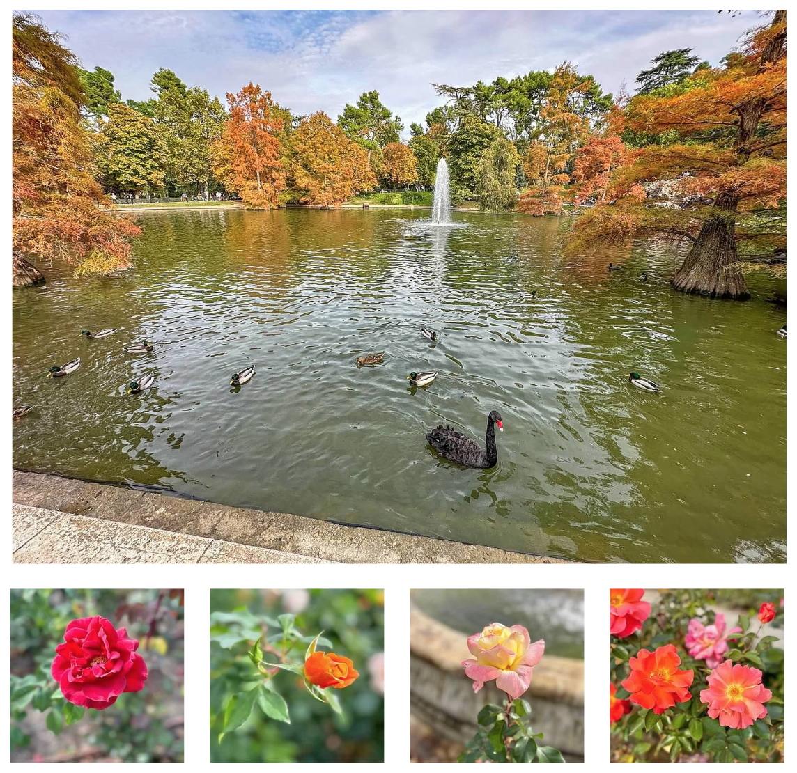 Screen Shot 2026-02-10 at 12.58.03 PM.png