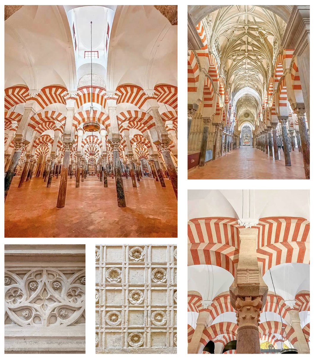 Screen Shot 2026-02-10 at 12.59.59 PM.png