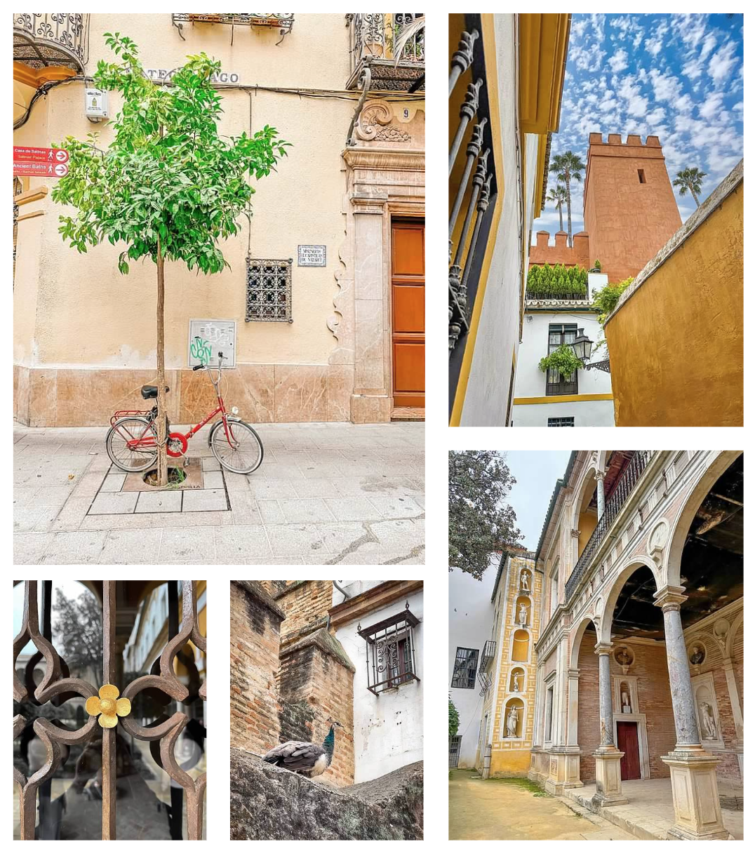 Screen Shot 2026-02-10 at 1.00.31 PM.png