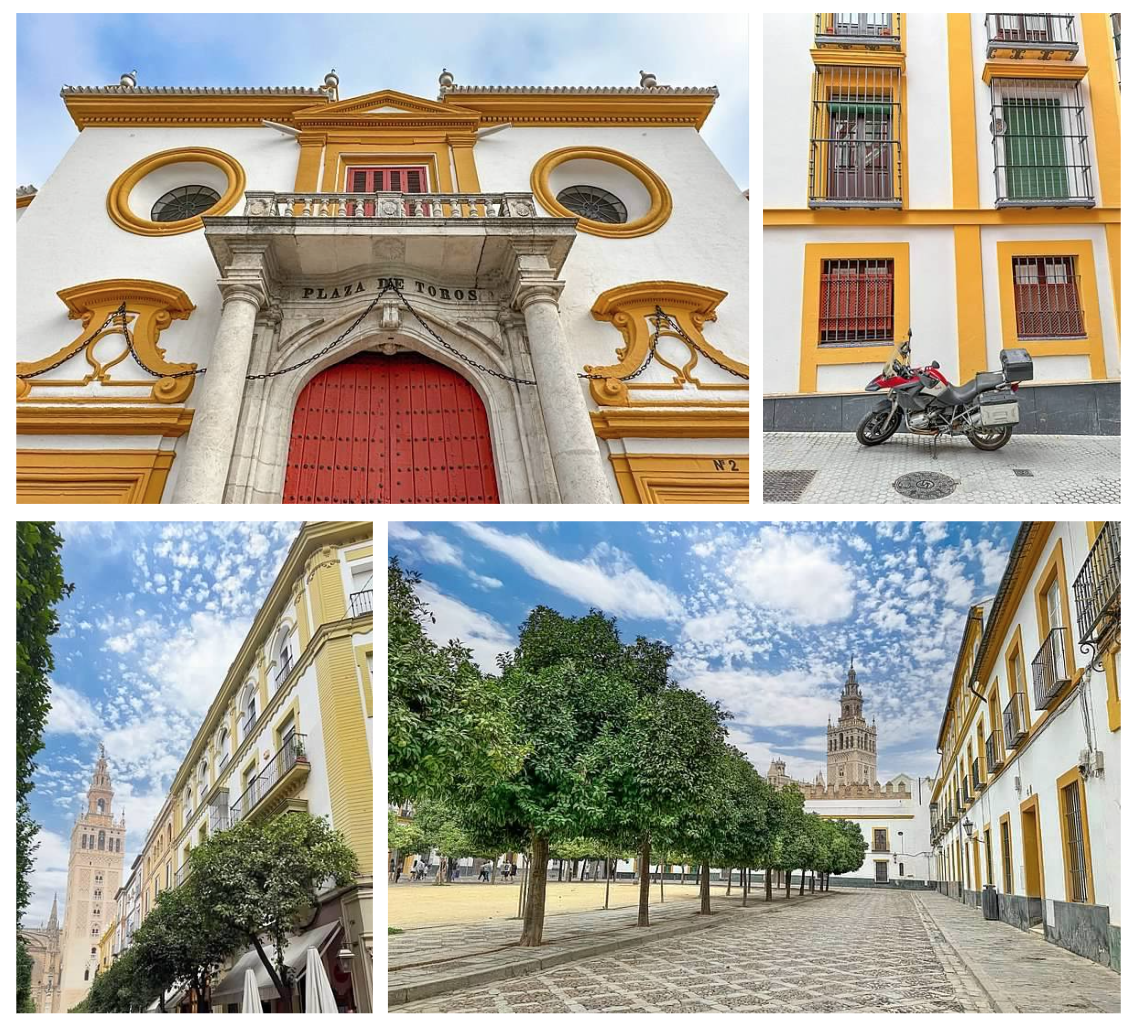 Screen Shot 2026-02-10 at 1.00.36 PM.png