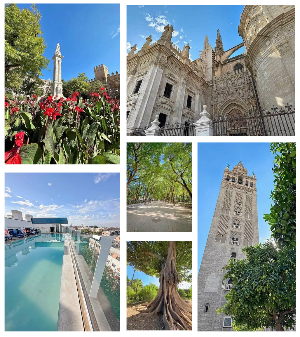 Screen Shot 2026-02-10 at 1.01.00 PM.png