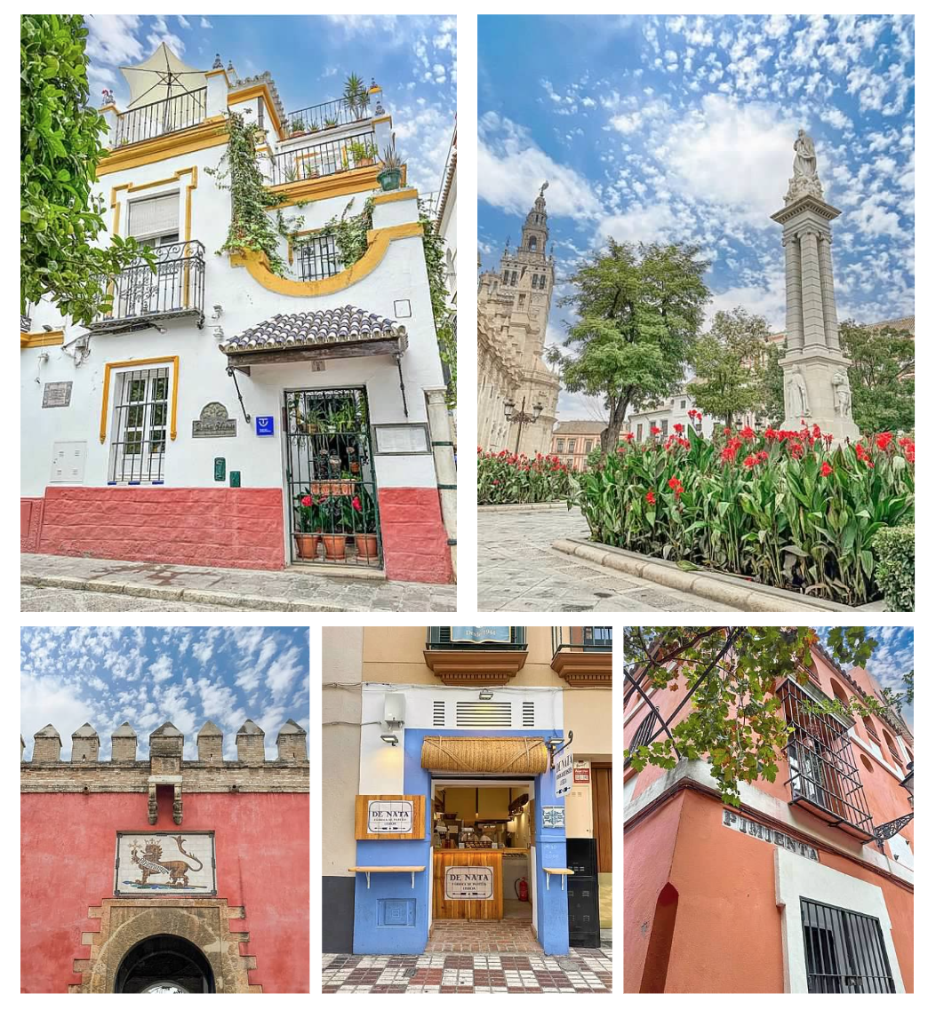 Screen Shot 2026-02-10 at 1.00.55 PM.png