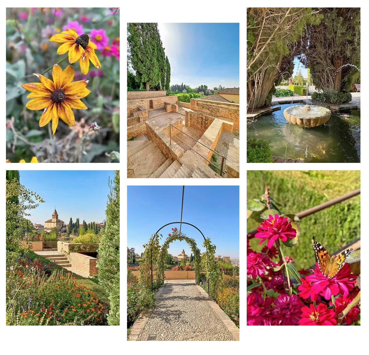 Screen Shot 2026-02-10 at 1.01.13 PM.png