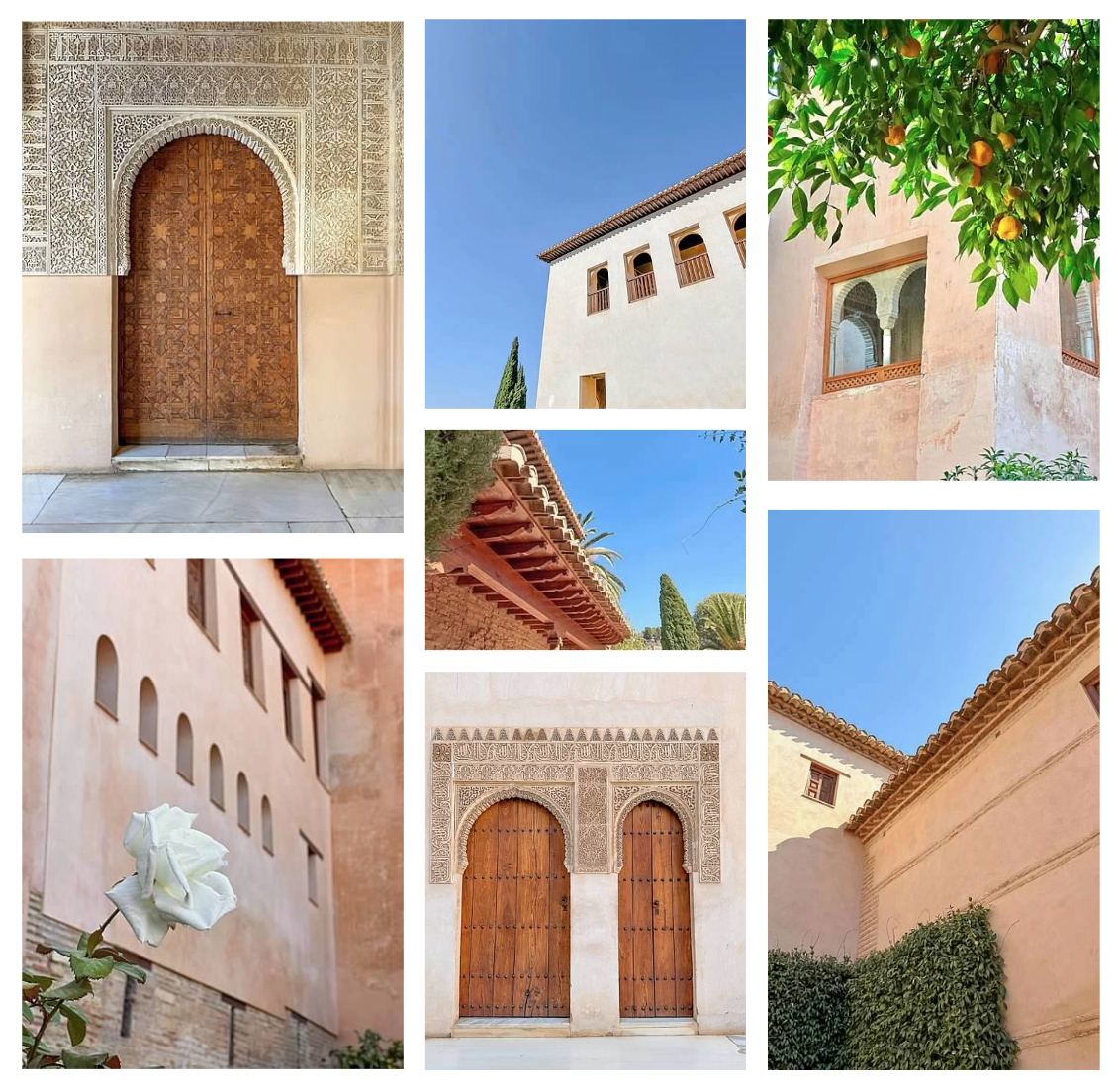 Screen Shot 2026-02-10 at 1.01.18 PM.png