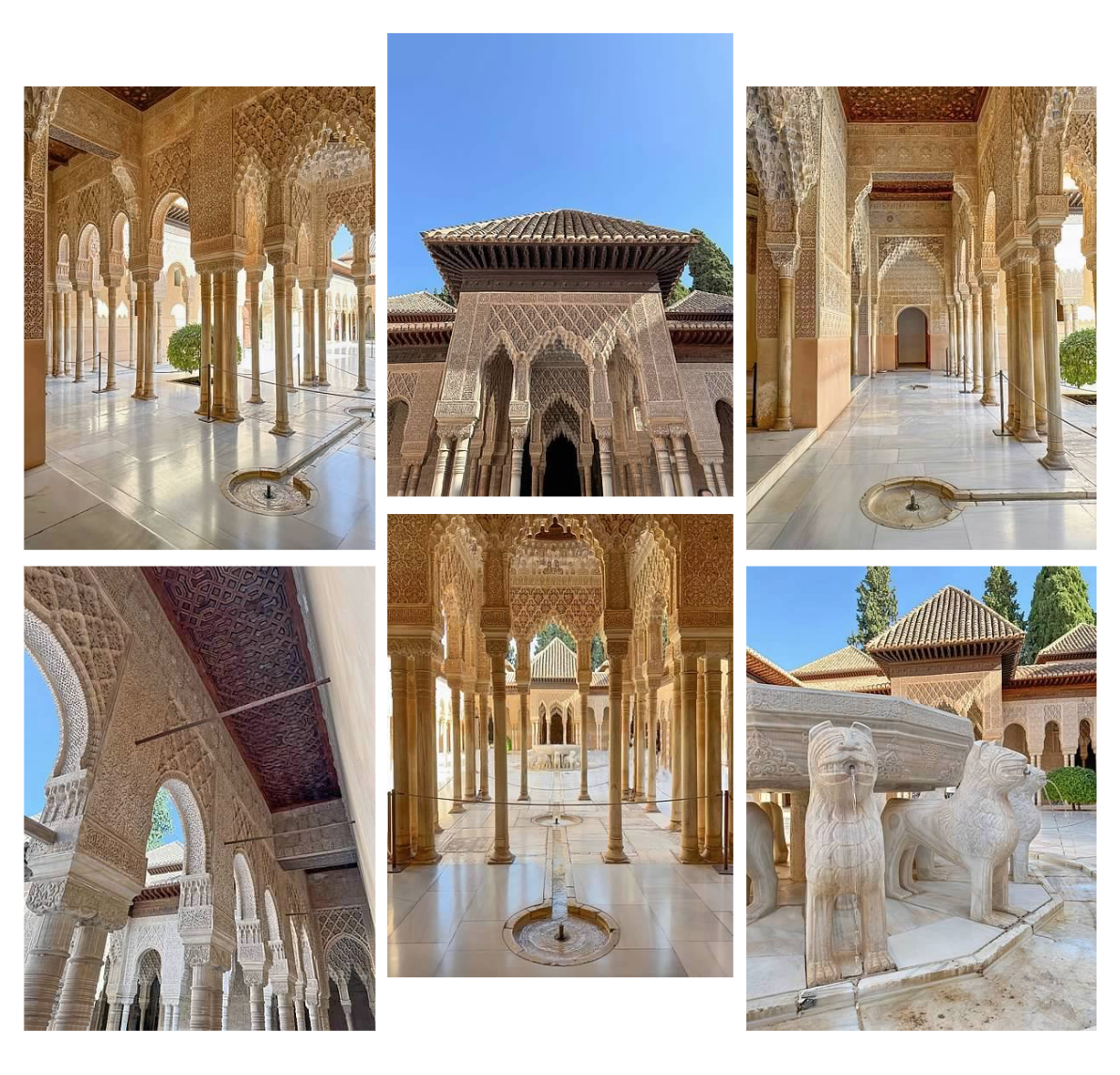 Screen Shot 2026-02-10 at 1.01.24 PM.png