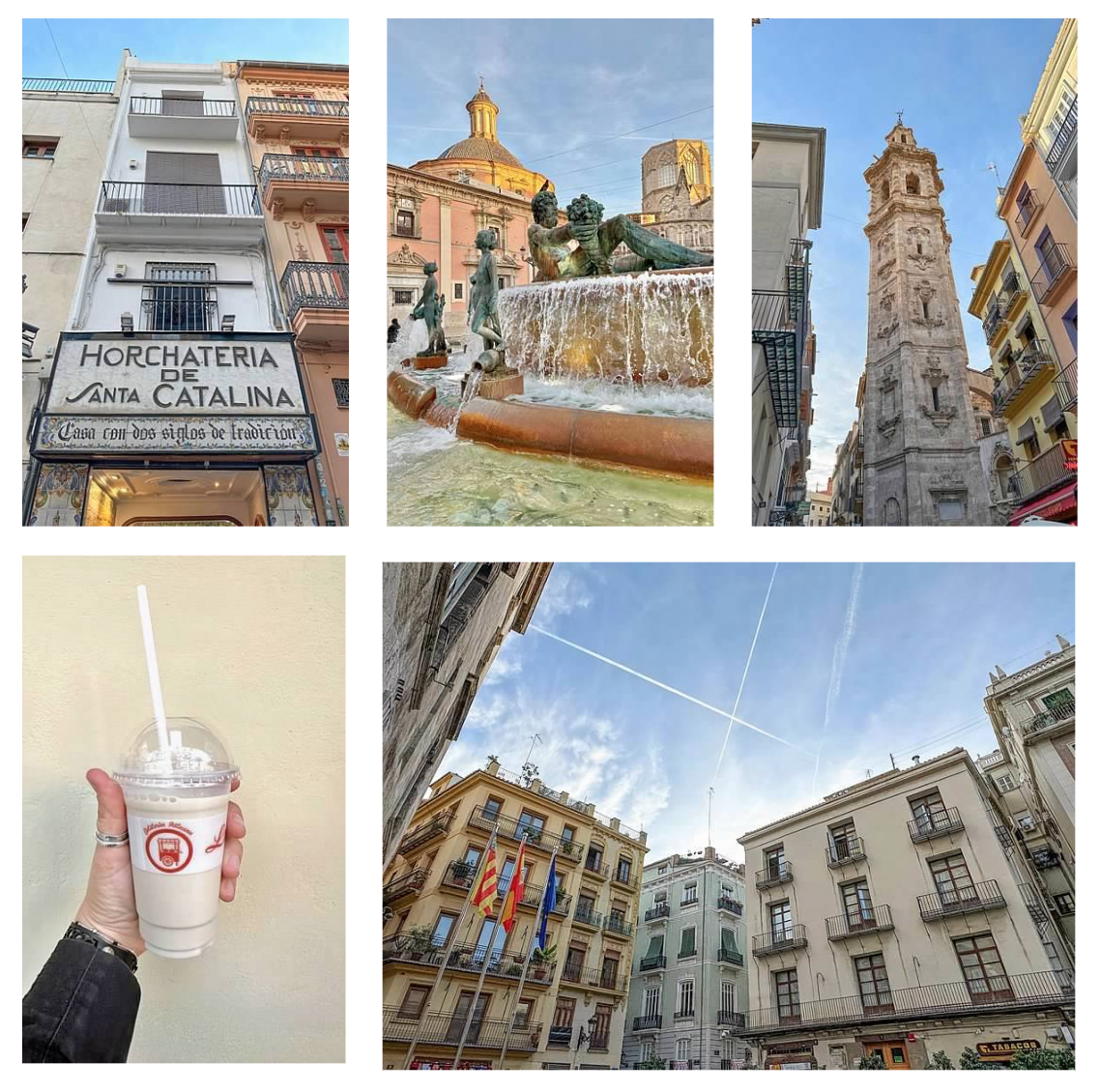 Screen Shot 2026-02-10 at 1.02.17 PM.png