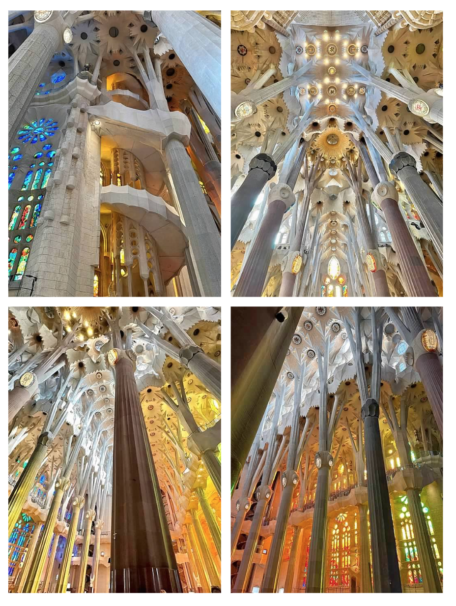 Screen Shot 2026-02-10 at 1.04.00 PM.png