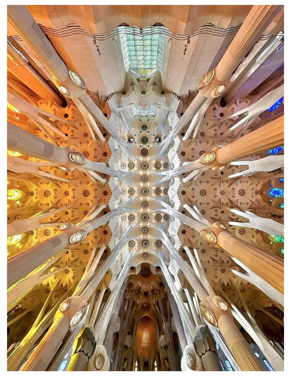 Screen Shot 2026-02-10 at 1.04.09 PM.png