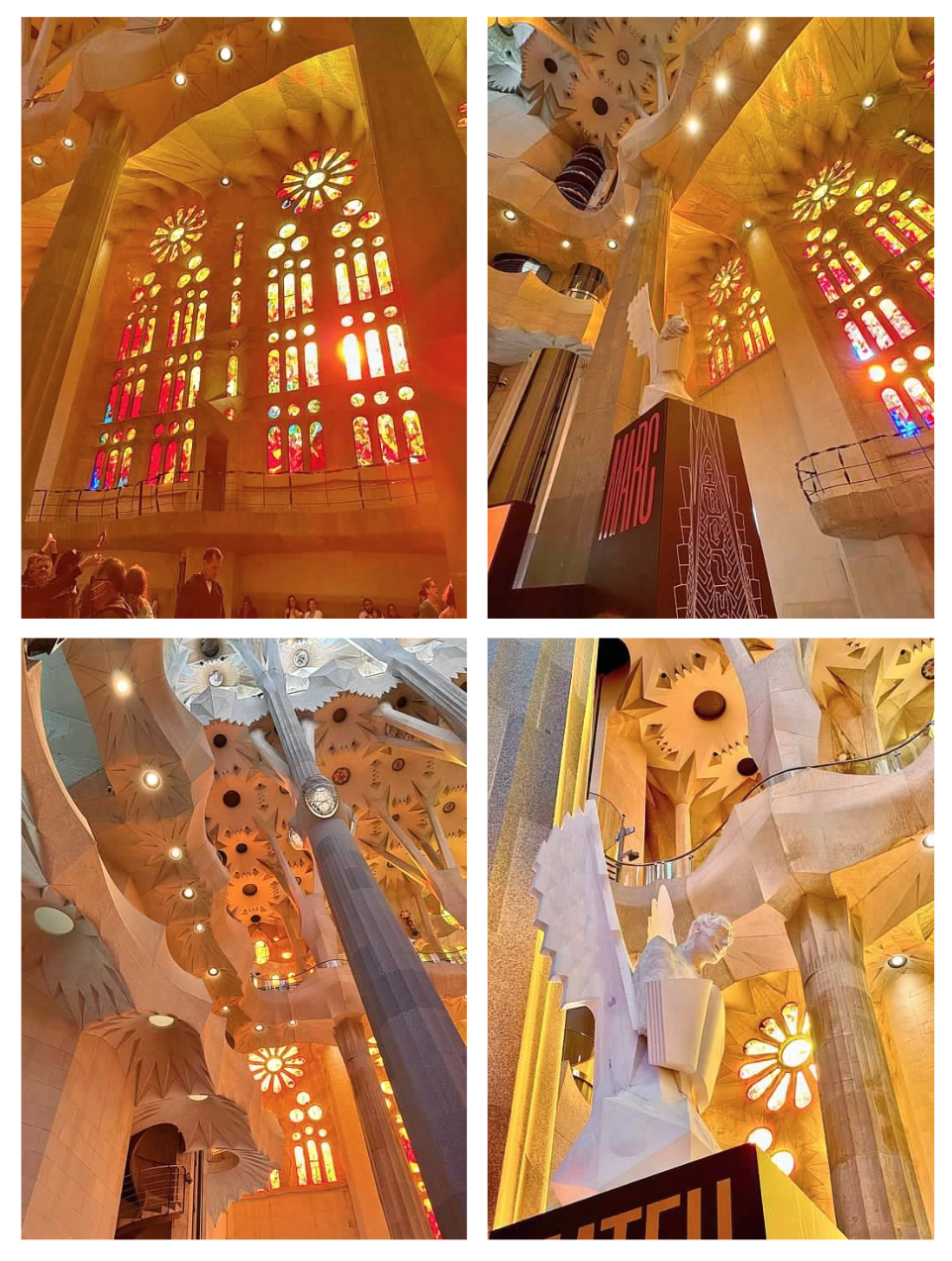 Screen Shot 2026-02-10 at 1.04.13 PM.png