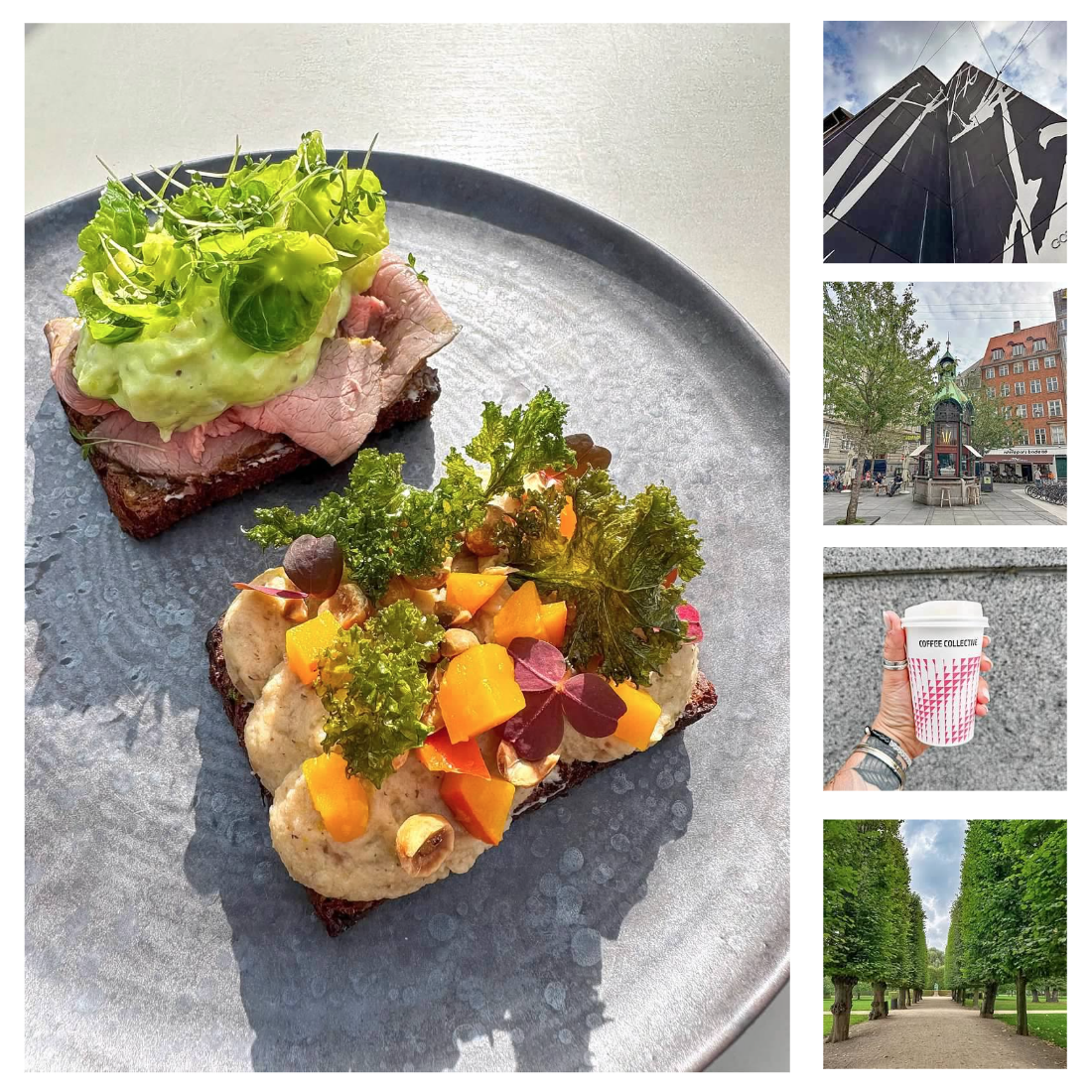 Screen Shot 2026-02-10 at 2.17.12 PM.png