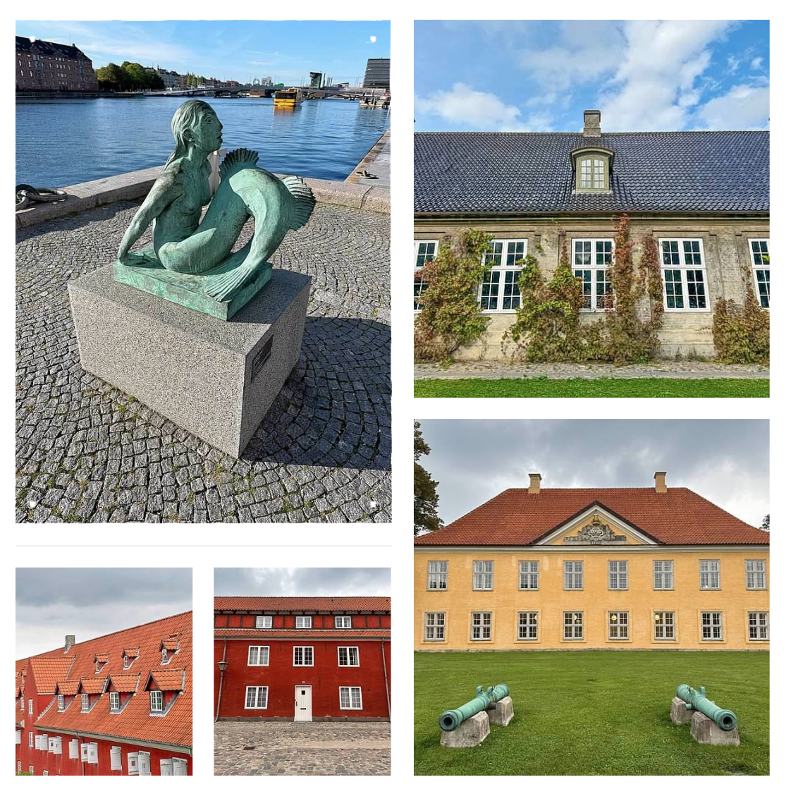 Screen Shot 2026-02-10 at 2.18.36 PM.png