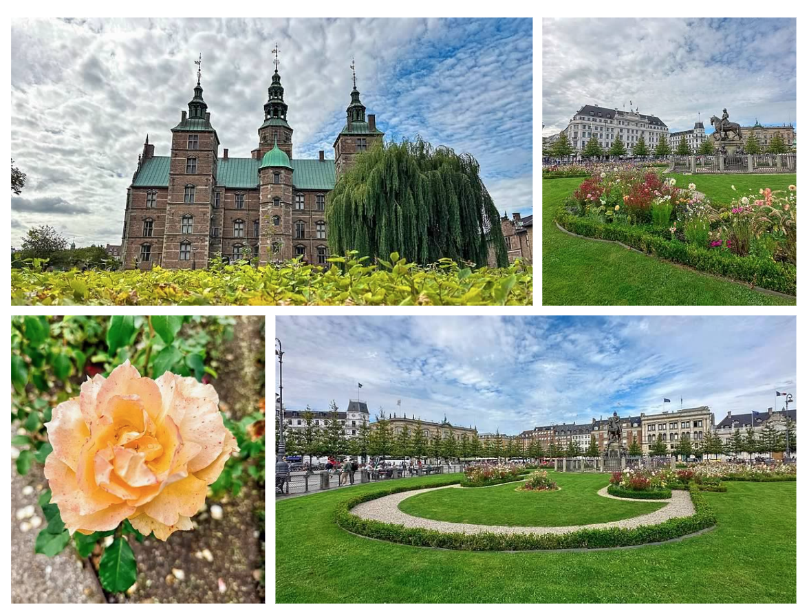 Screen Shot 2026-02-10 at 2.19.04 PM.png