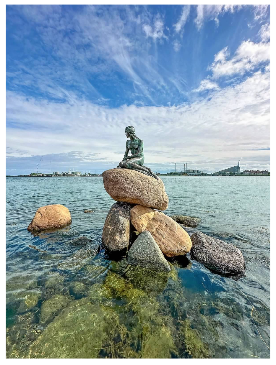 Screen Shot 2026-02-10 at 2.19.11 PM.png