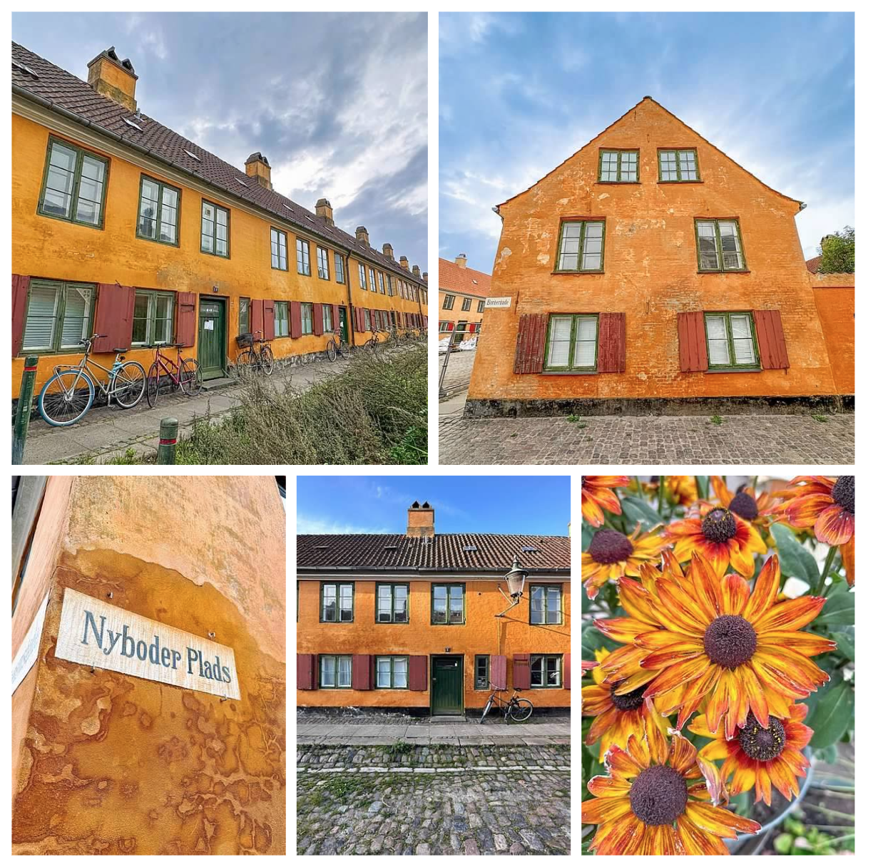 Screen Shot 2026-02-10 at 2.19.16 PM.png