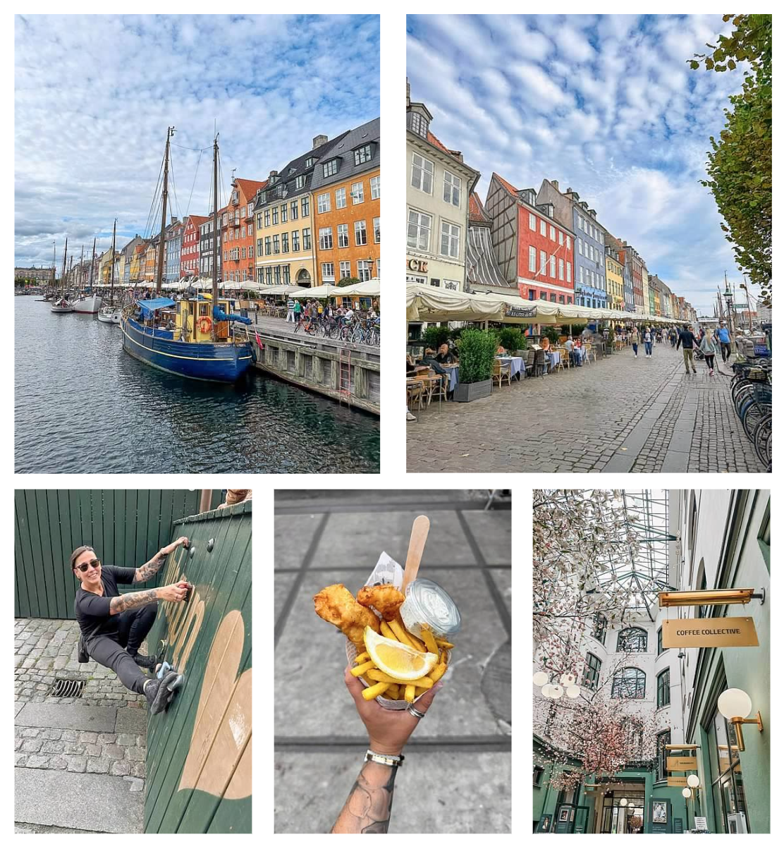 Screen Shot 2026-02-10 at 2.19.27 PM.png