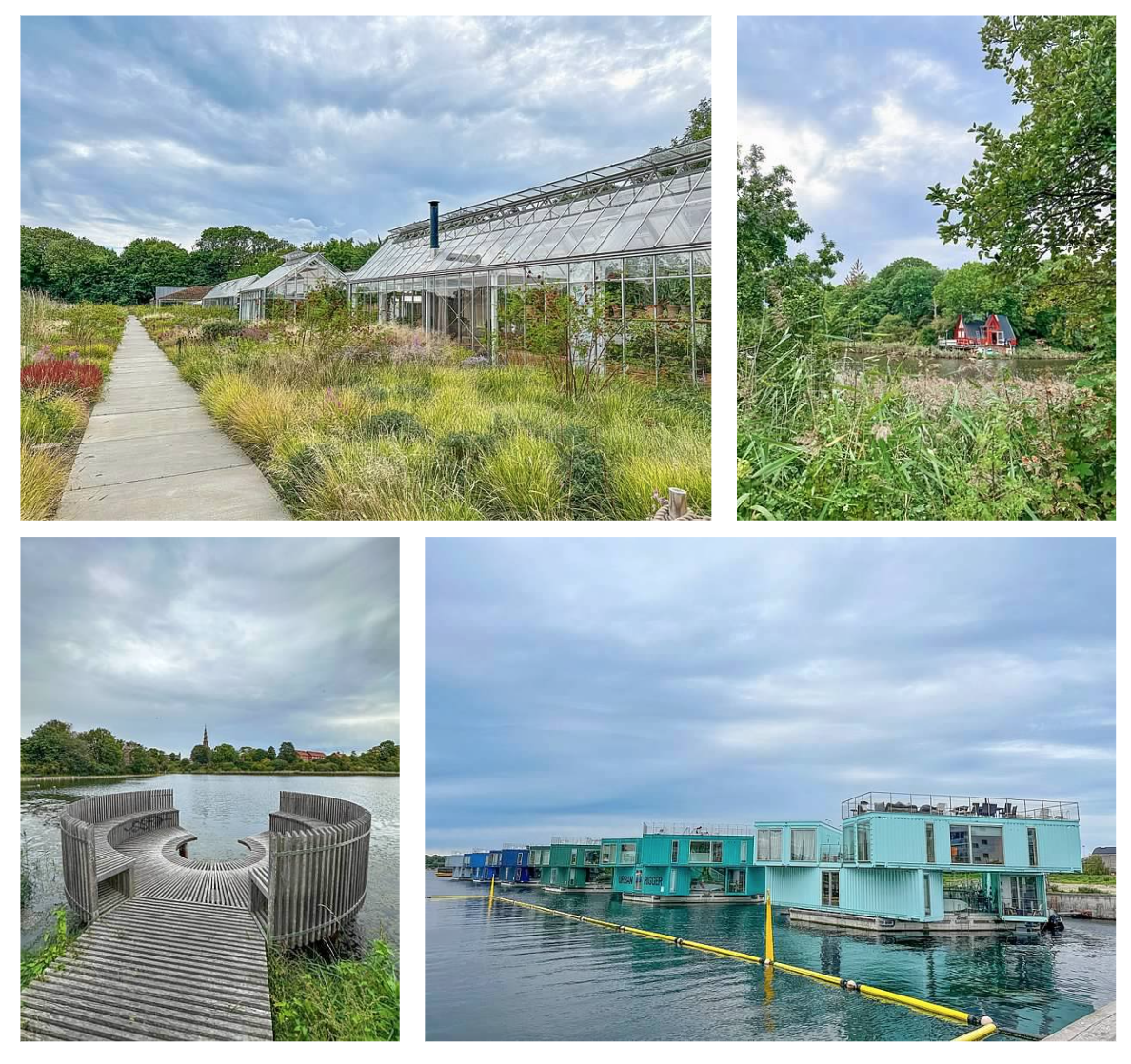 Screen Shot 2026-02-10 at 2.19.32 PM.png