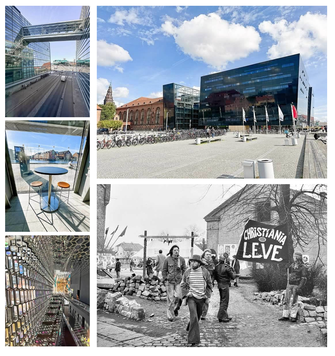 Screen Shot 2026-02-10 at 2.20.10 PM.png