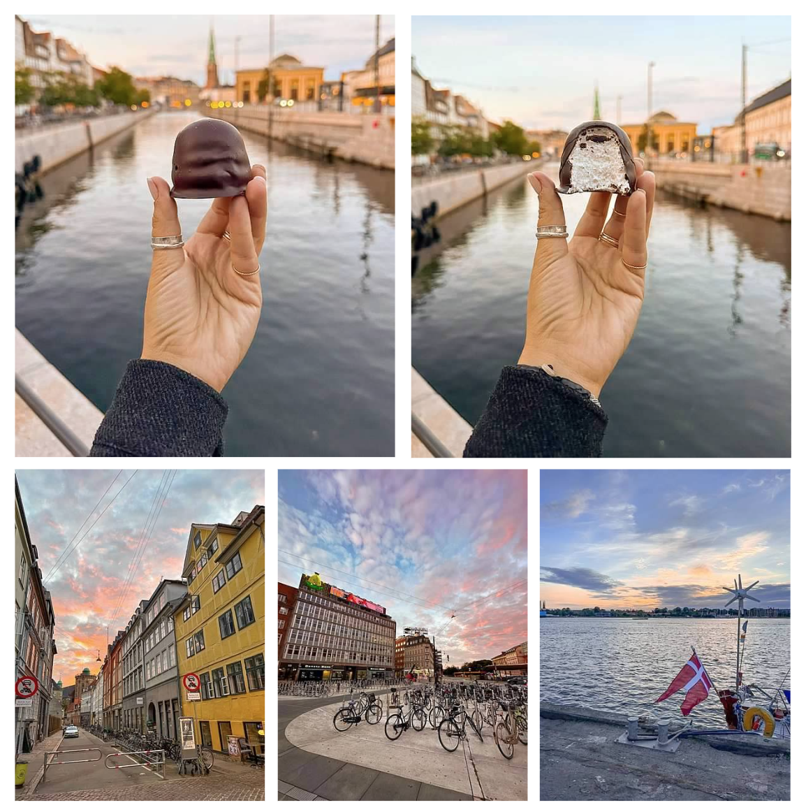 Screen Shot 2026-02-10 at 2.20.20 PM.png